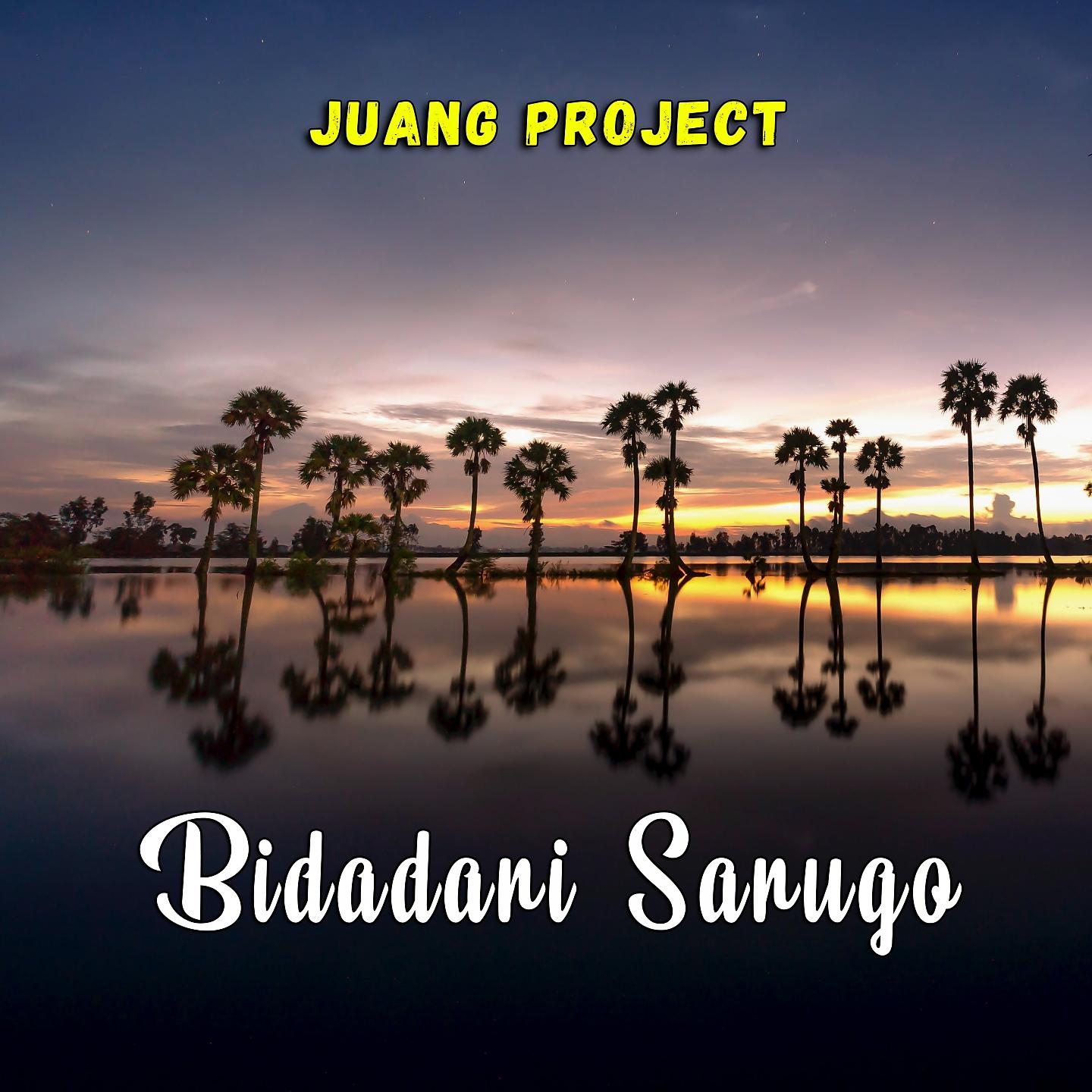 Постер альбома Bidadari Sarugo