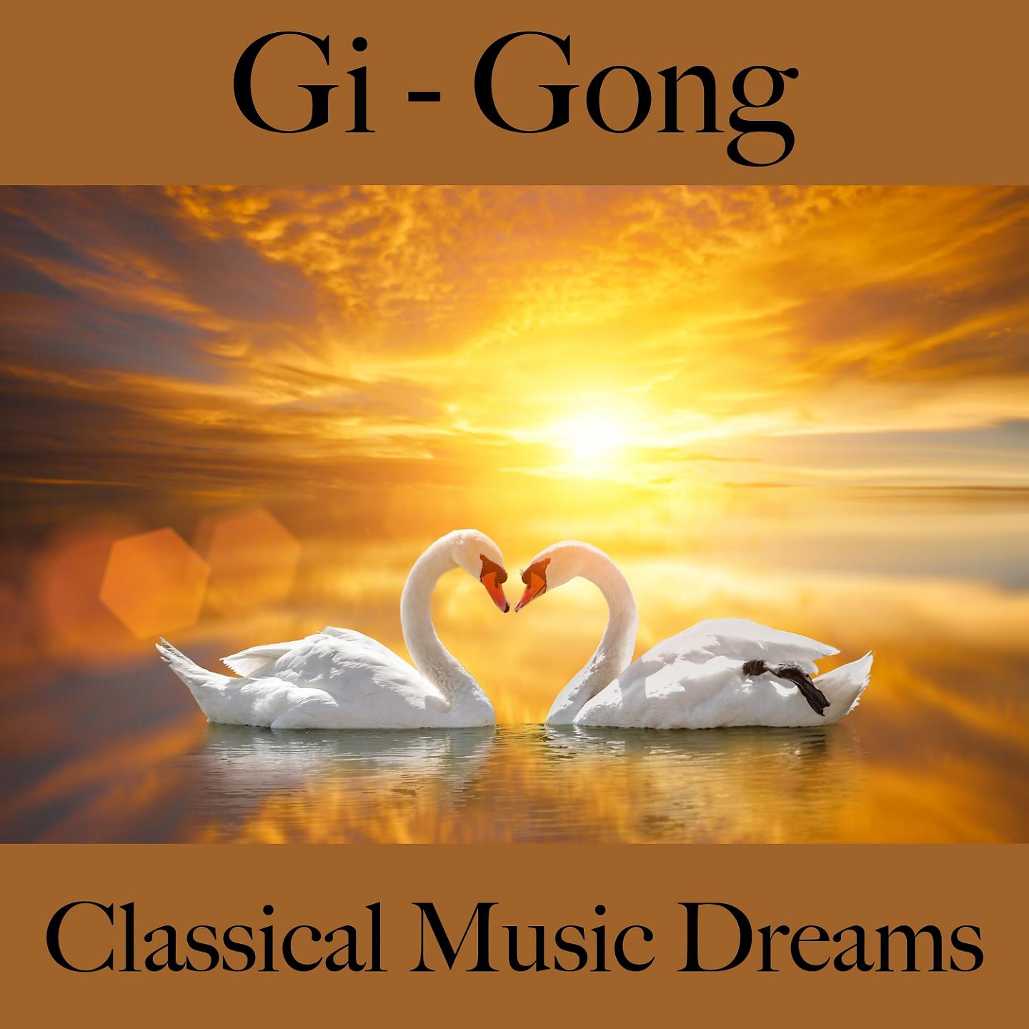 Постер альбома Gi - Gong: Classical Music Dreams - La Mejor Música Para Relajarse