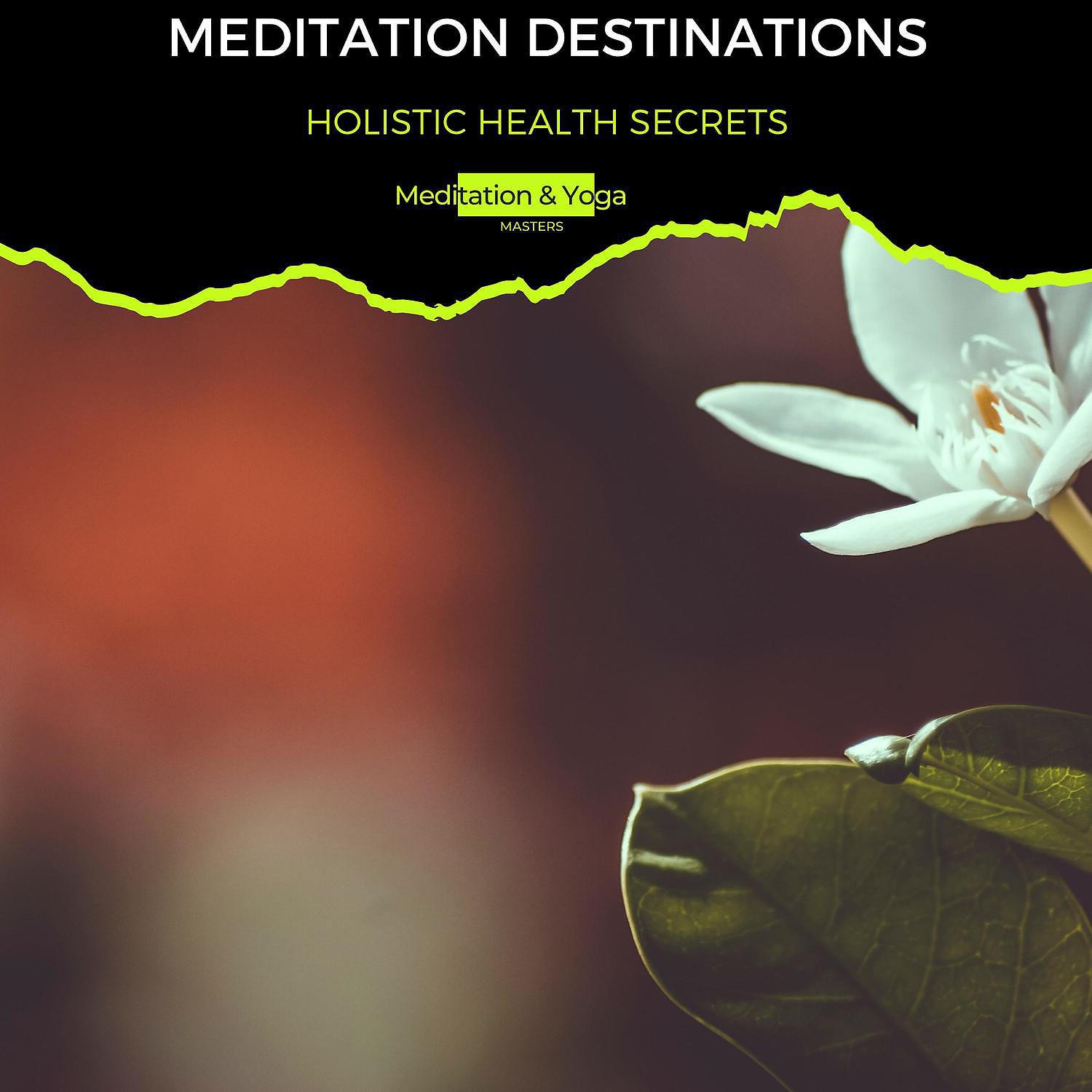 Постер альбома Meditation Destinations - Holistic Health Secrets