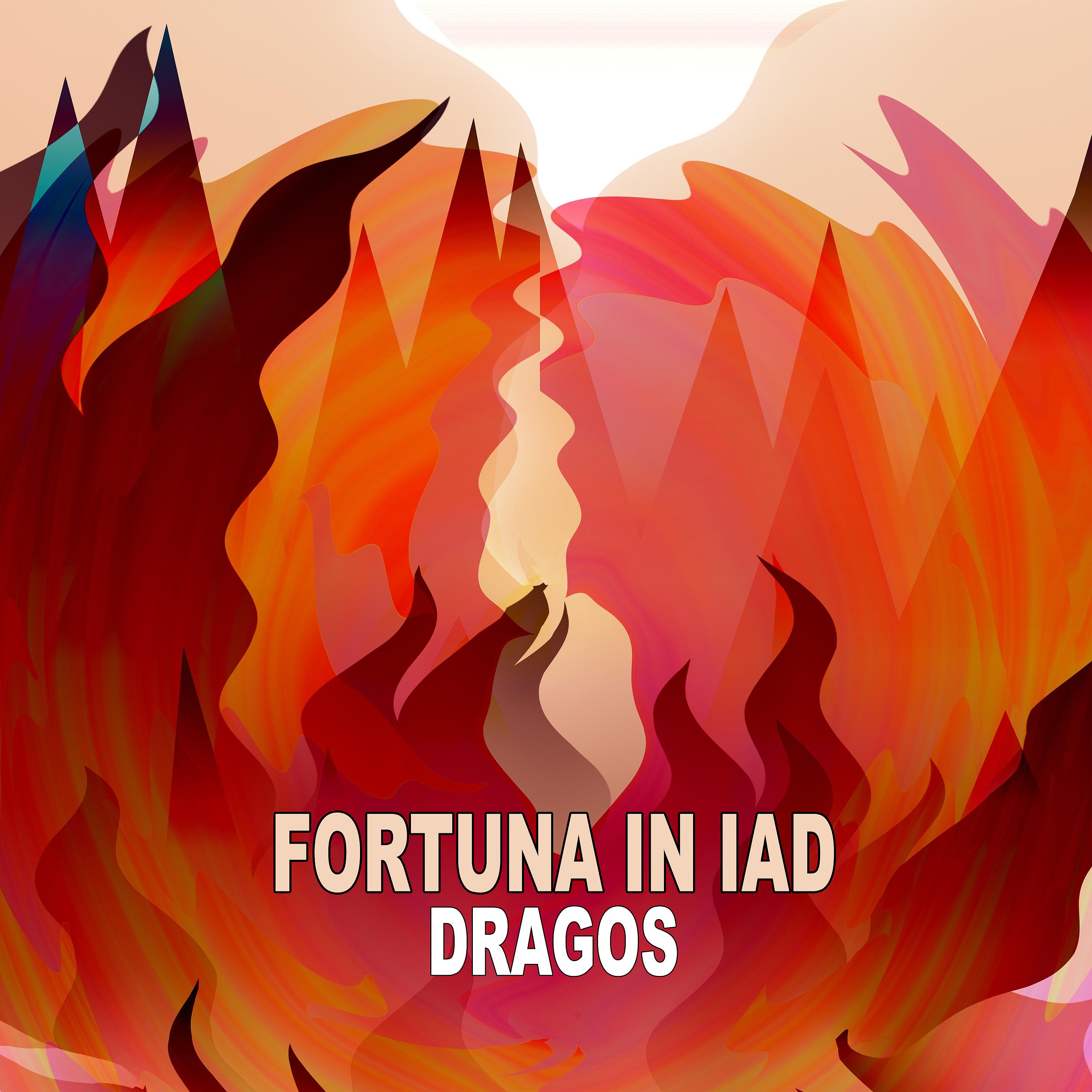 Постер альбома Fortuna In Iad