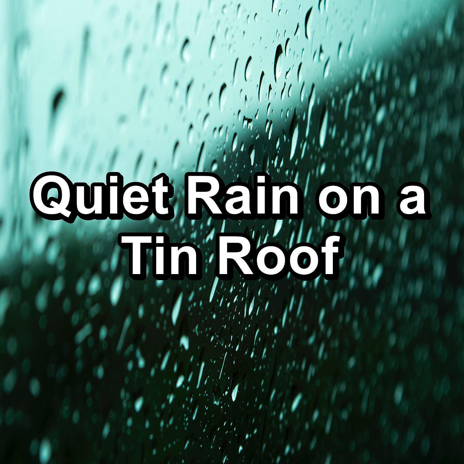 Постер альбома Quiet Rain on a Tin Roof
