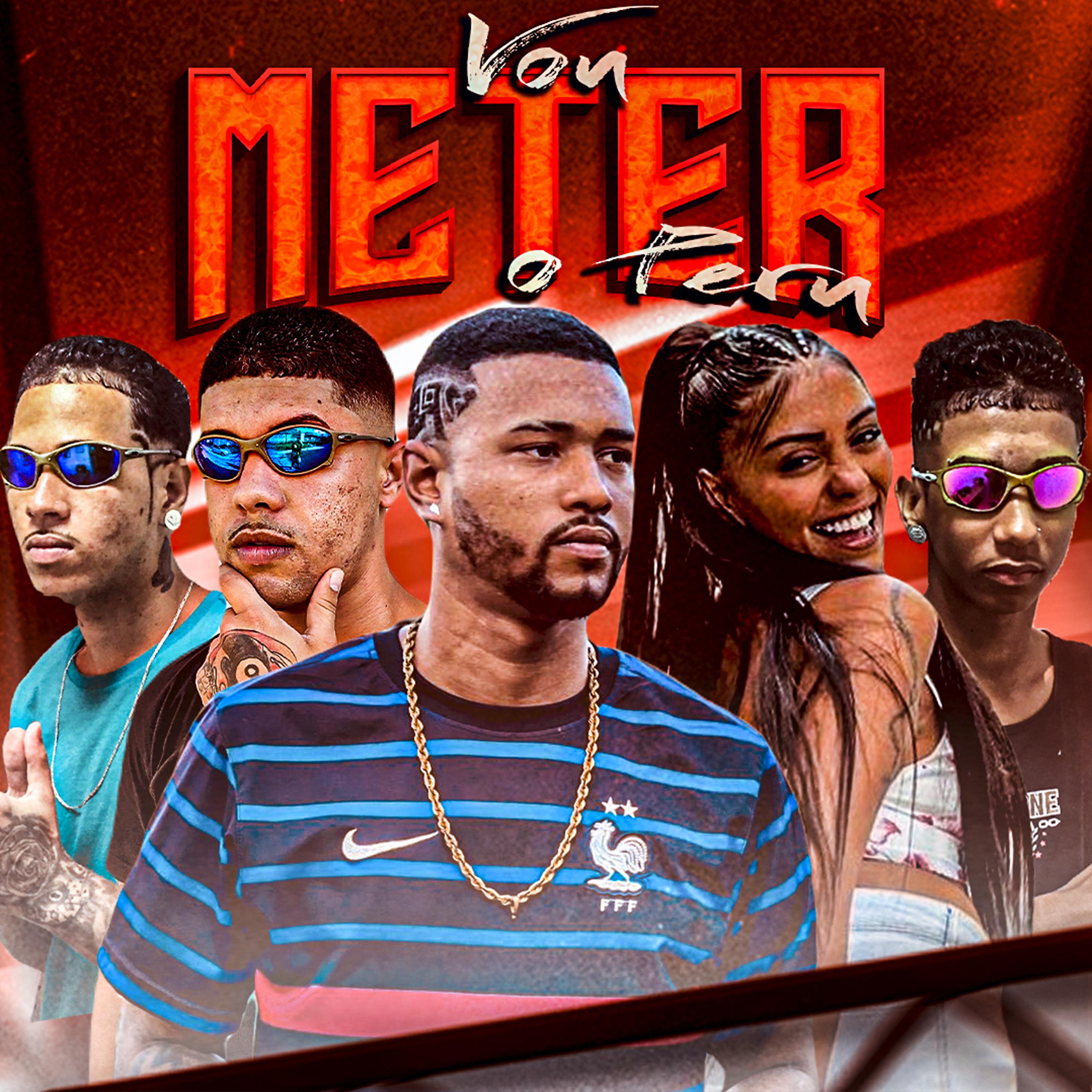 Постер альбома Vou Meter o Peru