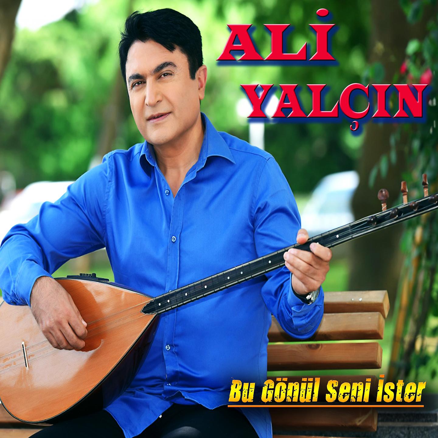 Постер альбома Bu Gönül Seni Ister
