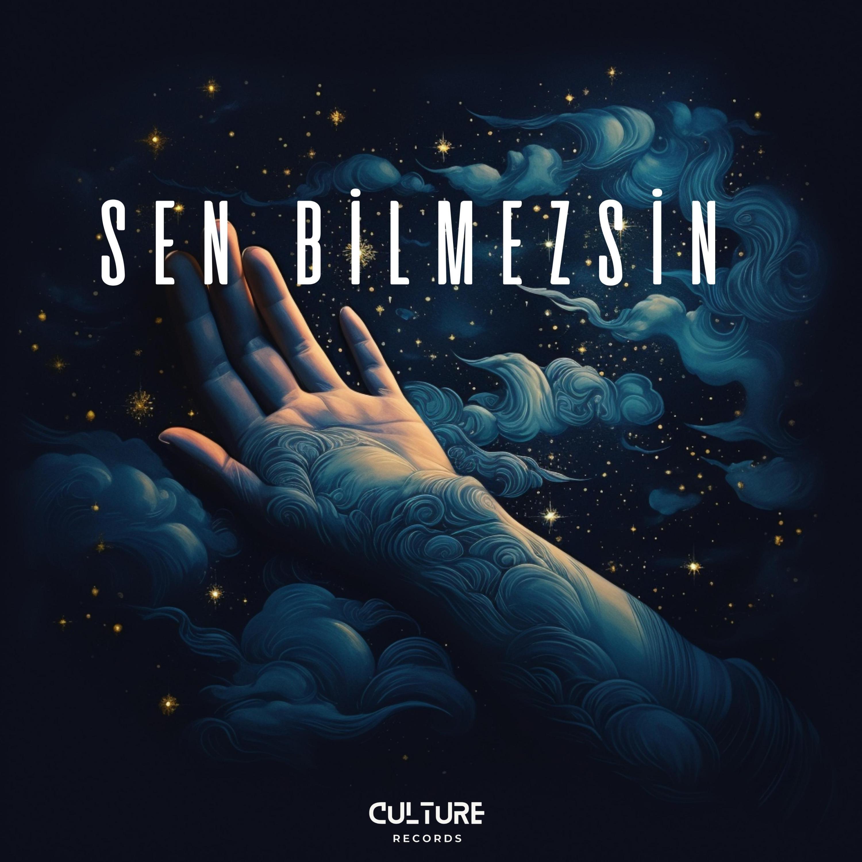 Постер альбома Sen Bilmezsin