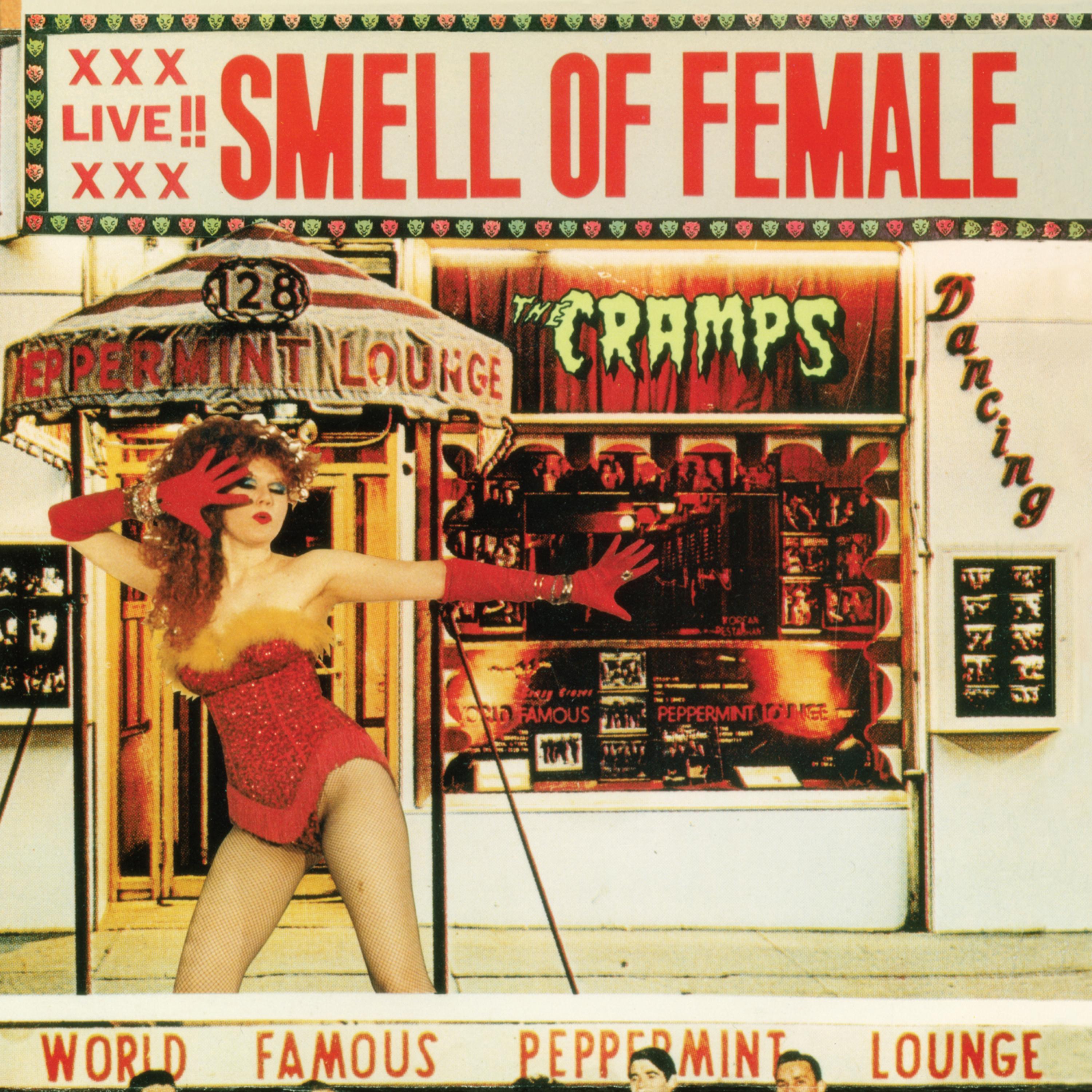 Постер альбома Smell of Female
