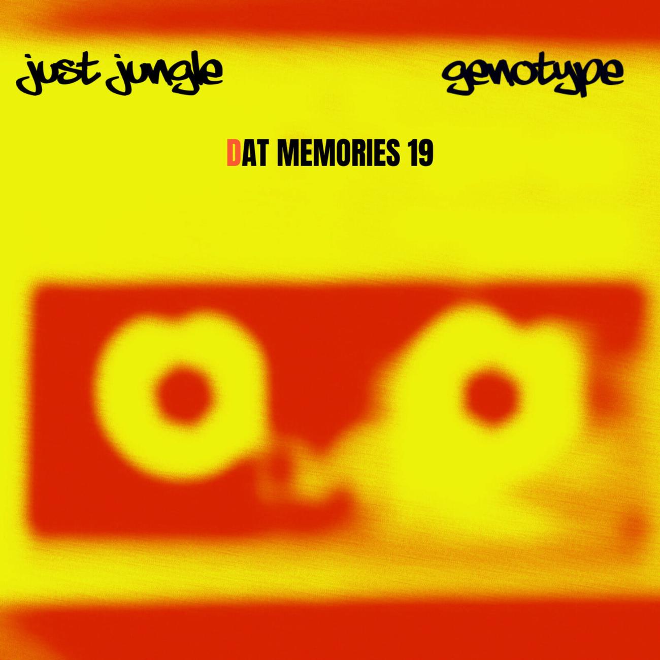 Постер альбома DAT Memories 19