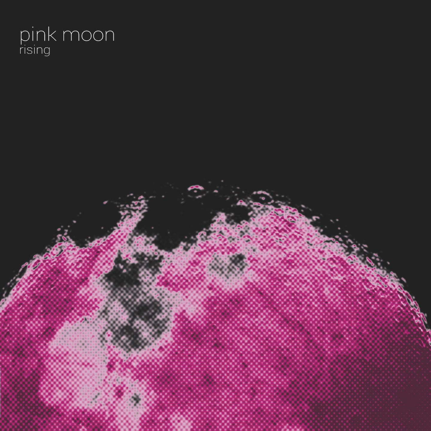 Постер альбома Pink Moon Rising