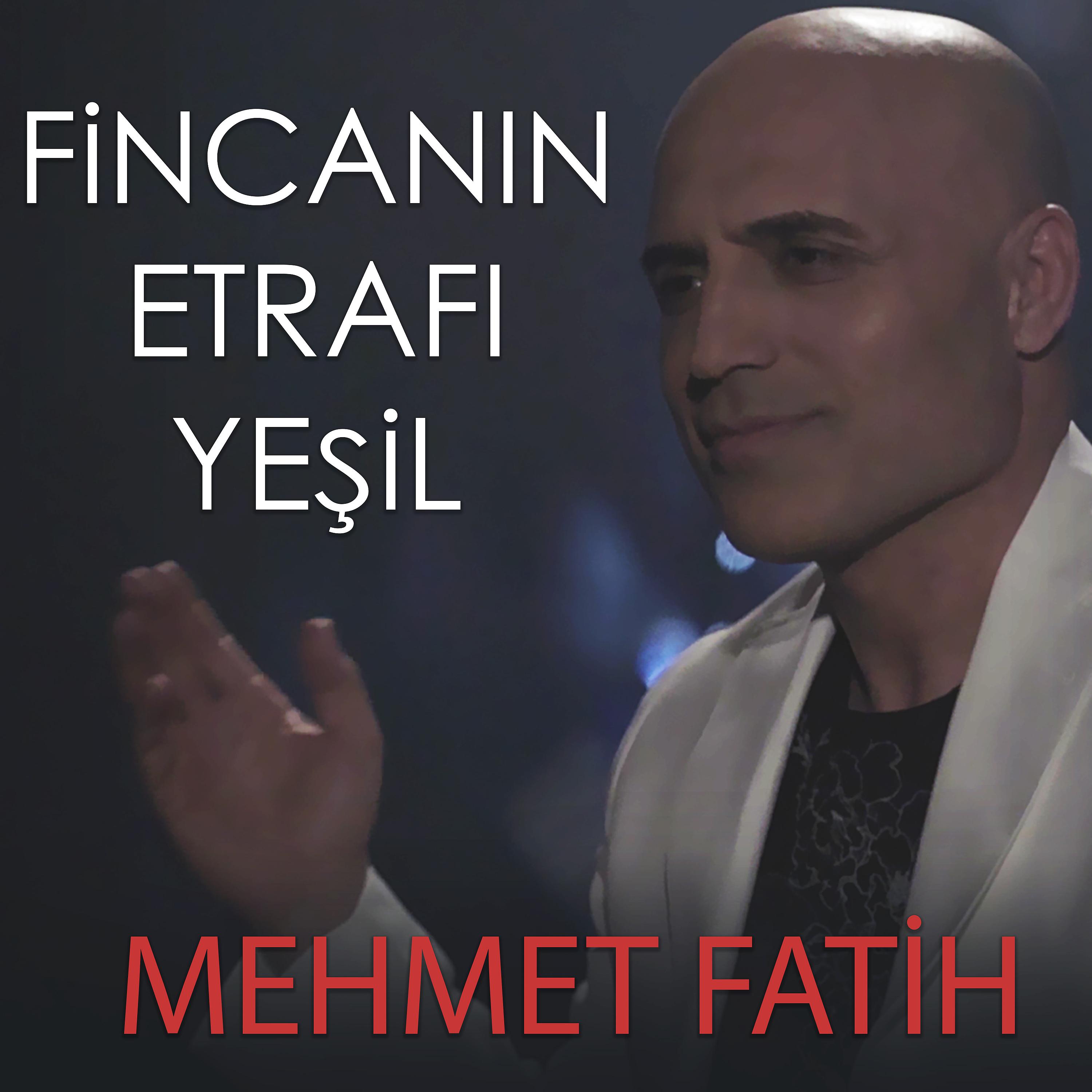 Постер альбома Fincanın Etrafı Yeşil