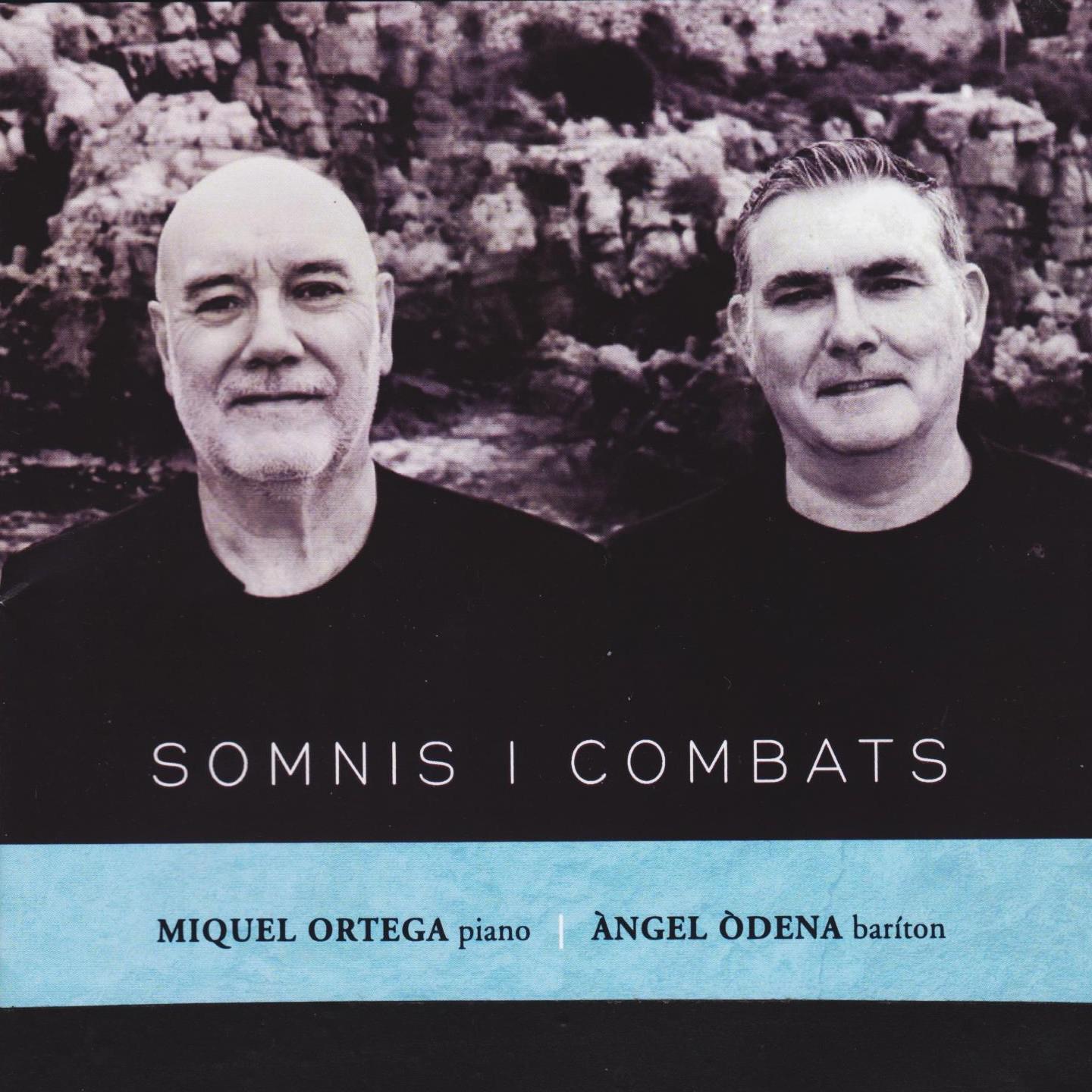 Постер альбома SOMNIS I COMBATS