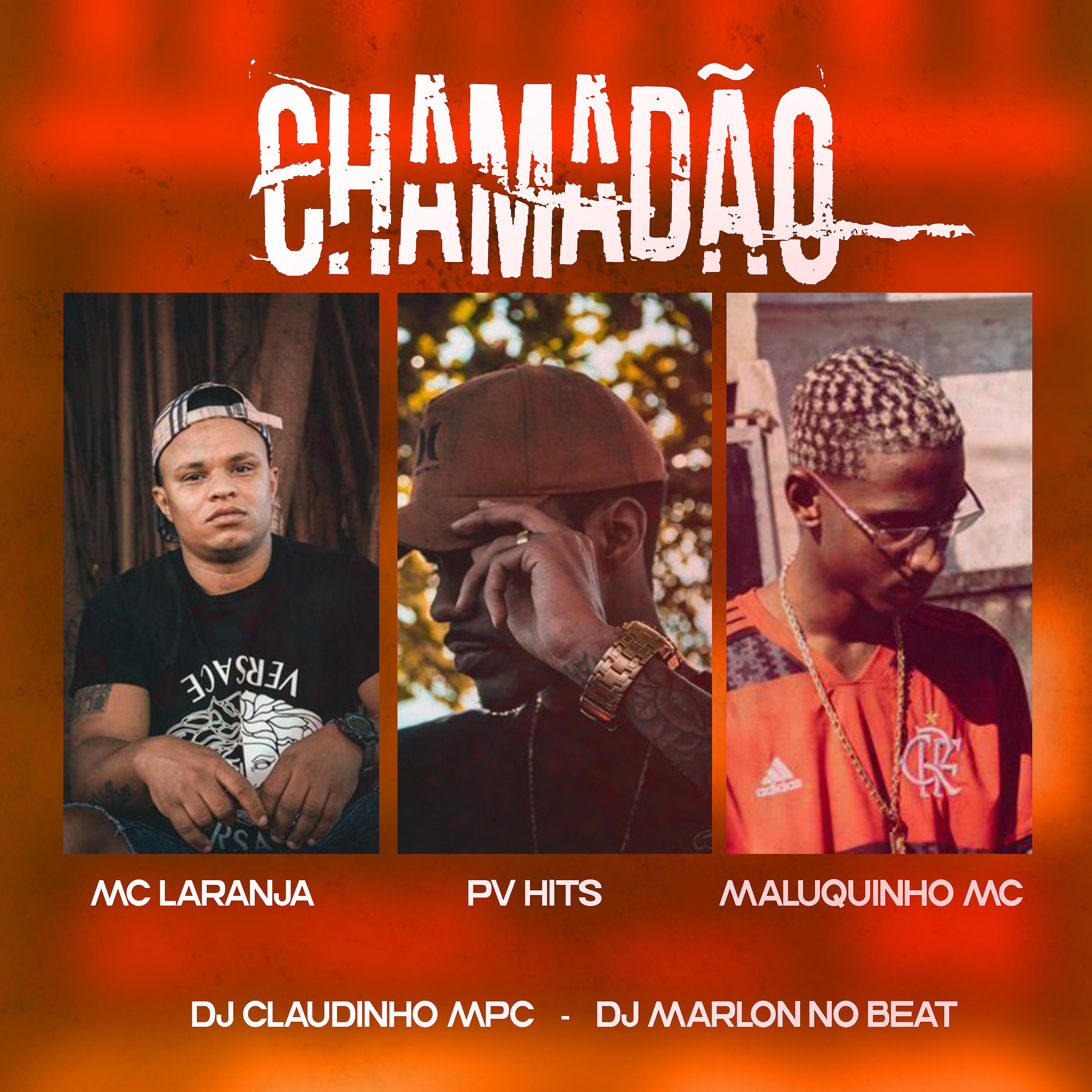 Постер альбома Chamadão