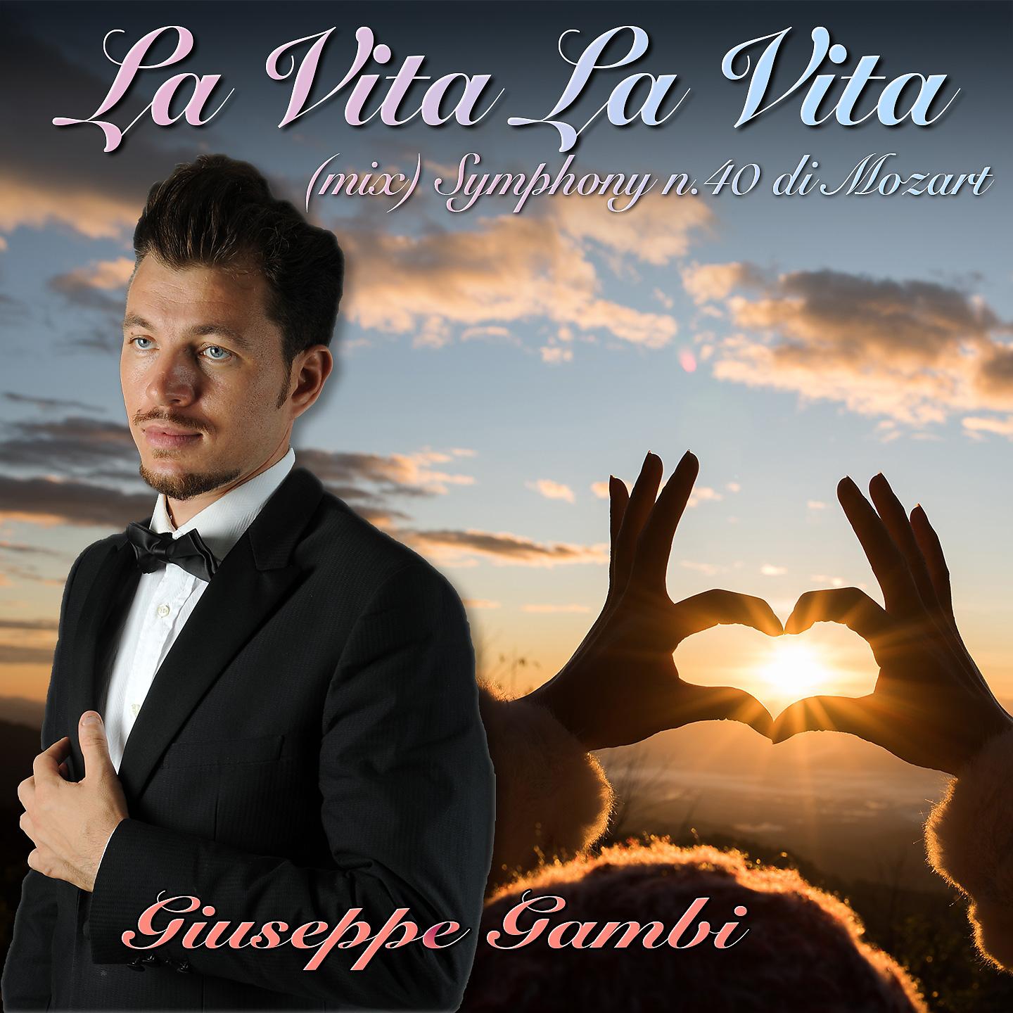 Постер альбома La vita la vita
