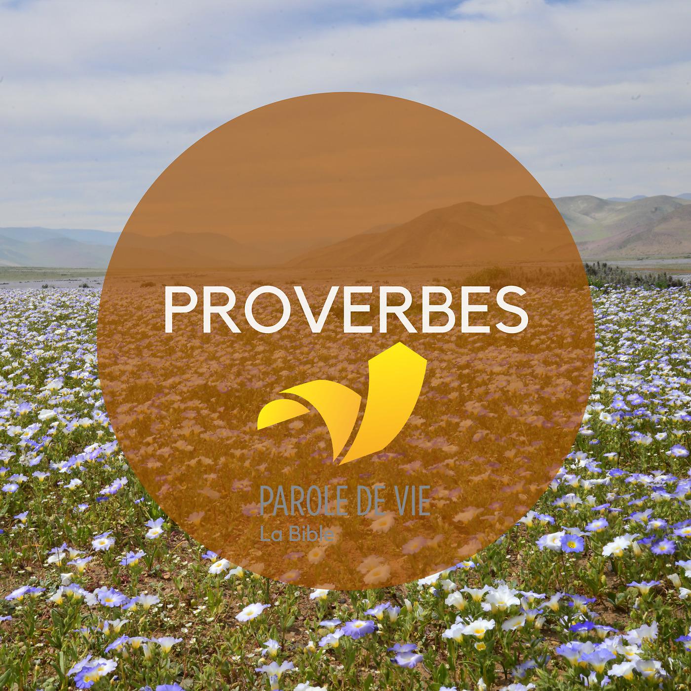 Постер альбома Proverbes