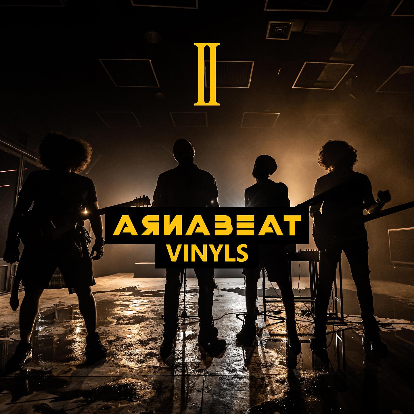 Постер альбома Arnabeat Vinyls 2