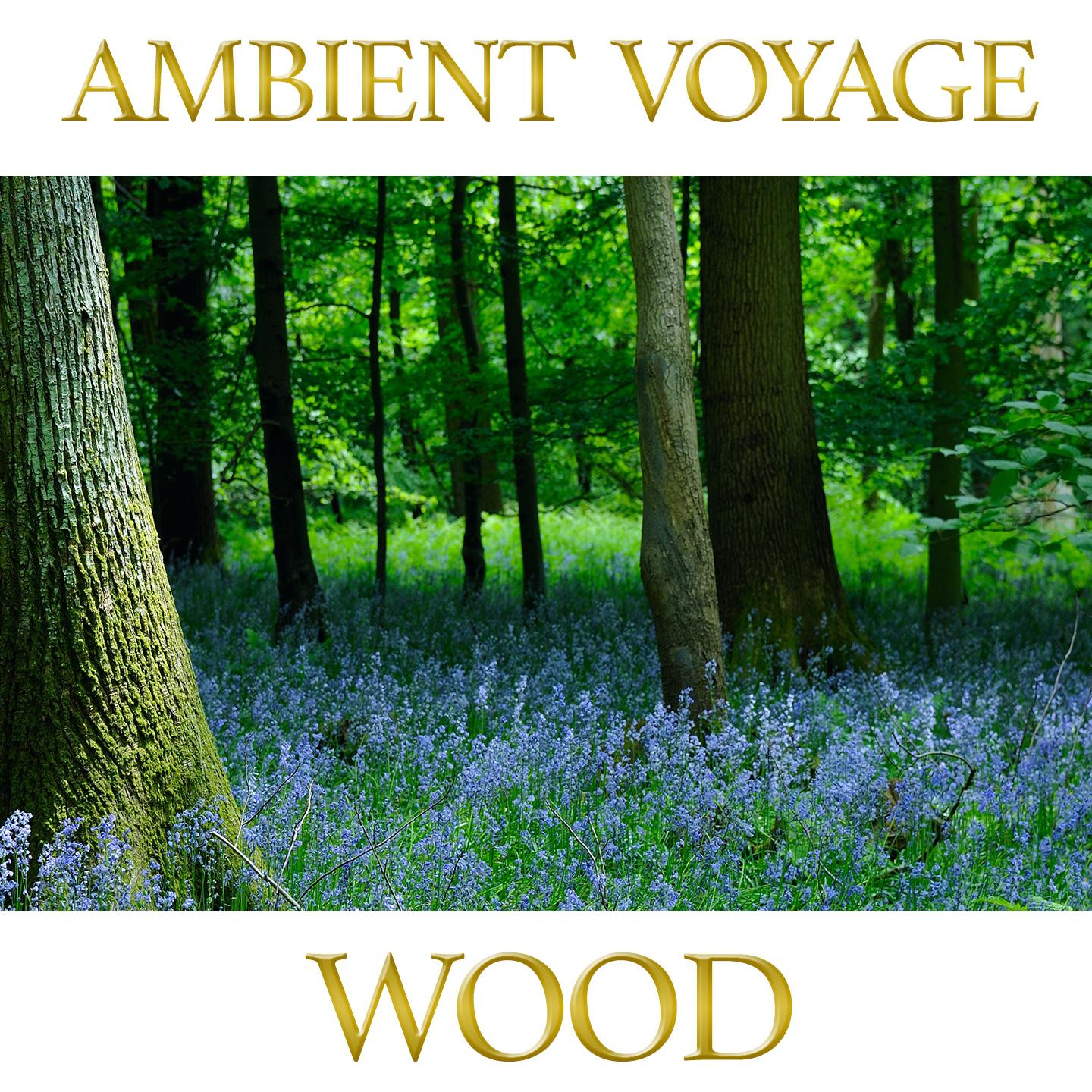 Постер альбома Ambient Voyage: Wood