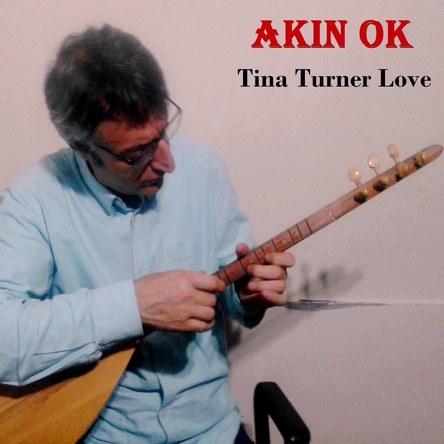 Постер альбома Tina Turner Love
