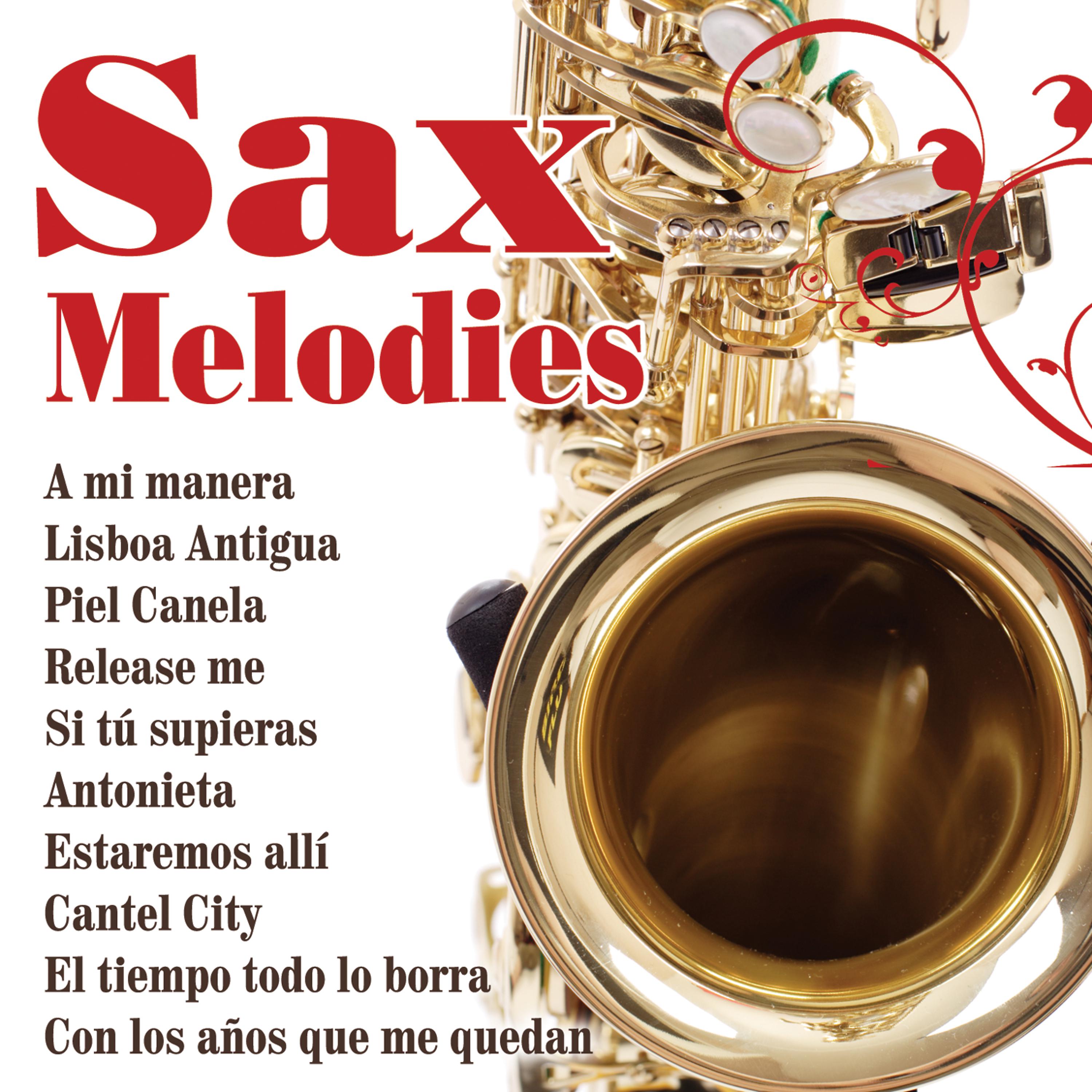 Постер альбома Sax Melodies