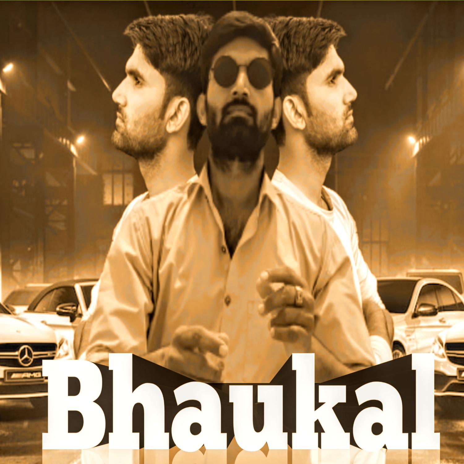 Постер альбома Bhaukal