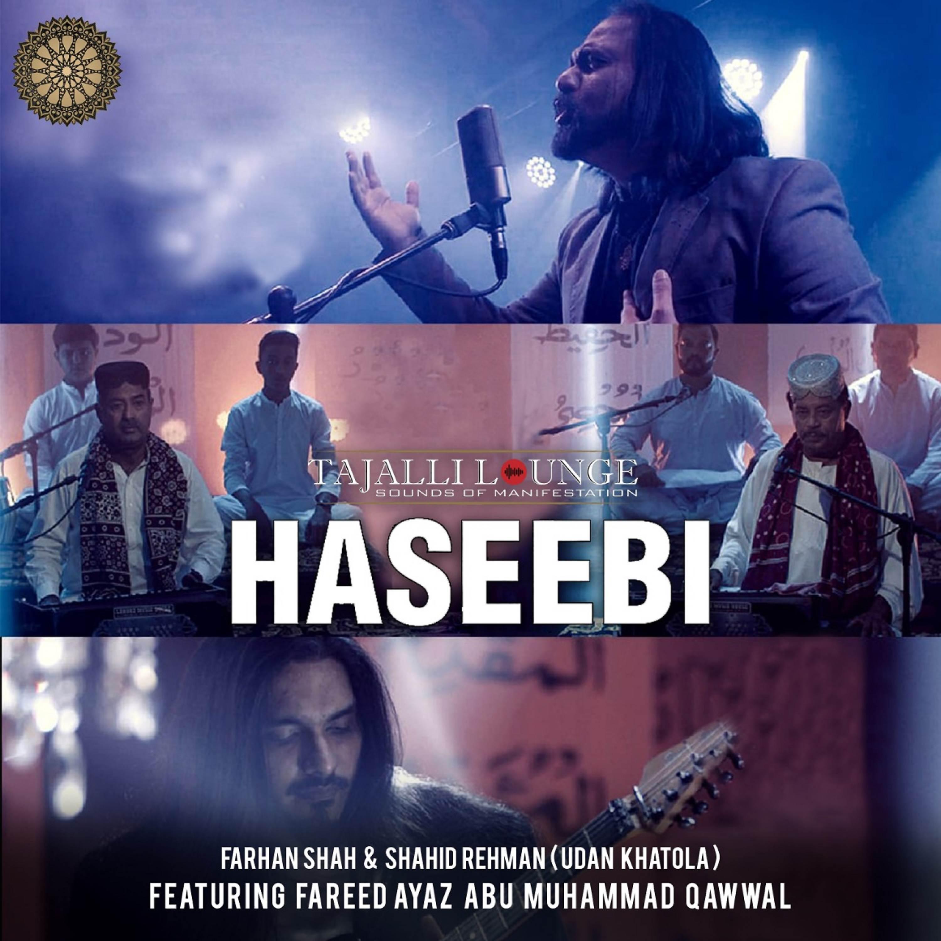 Постер альбома Haseebi