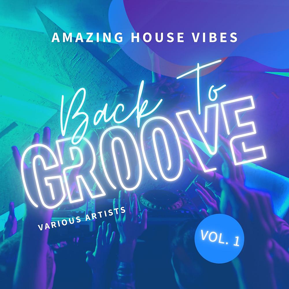 Постер альбома Back To Groove (Amazing House Vibes), Vol. 1