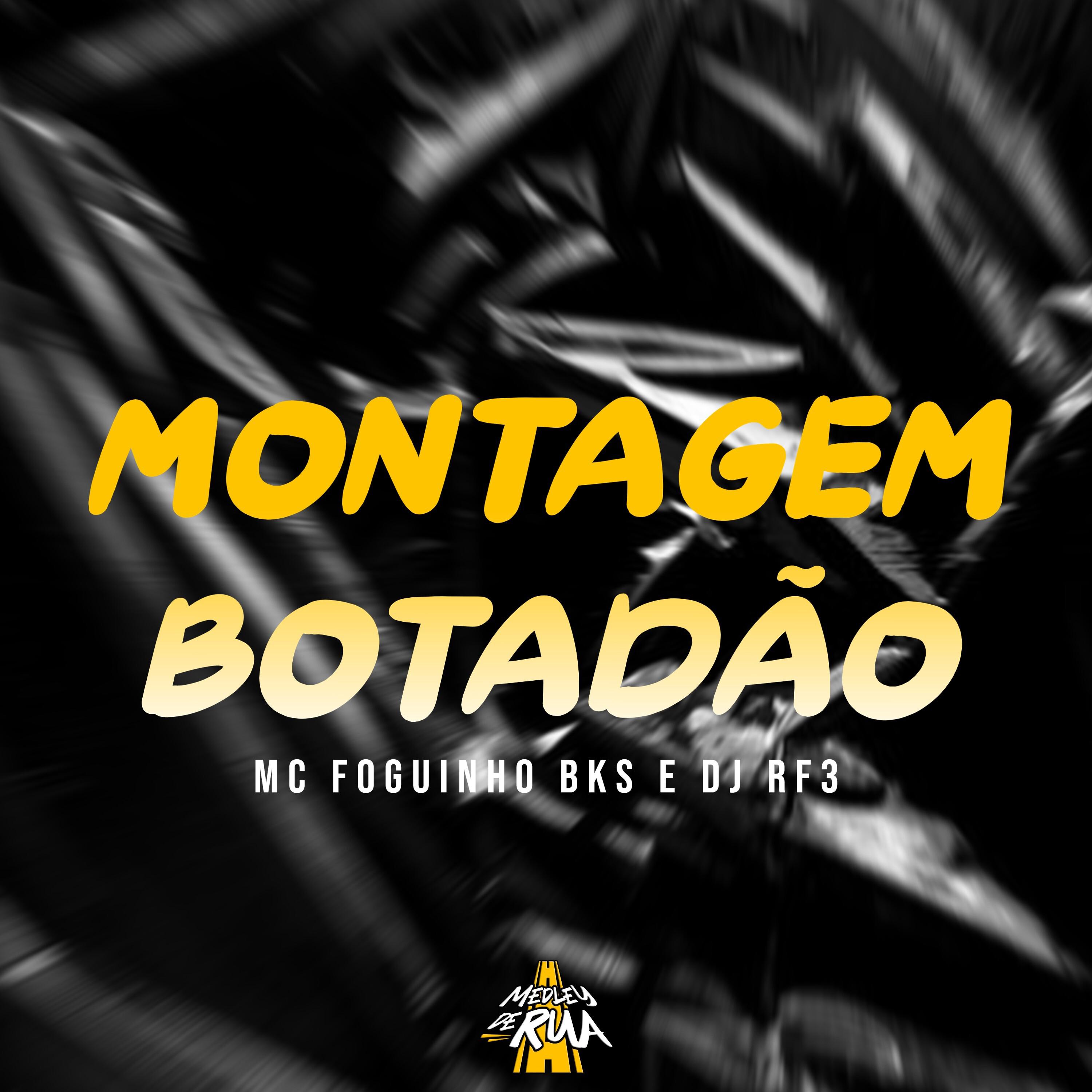 Постер альбома Montagem Botadão