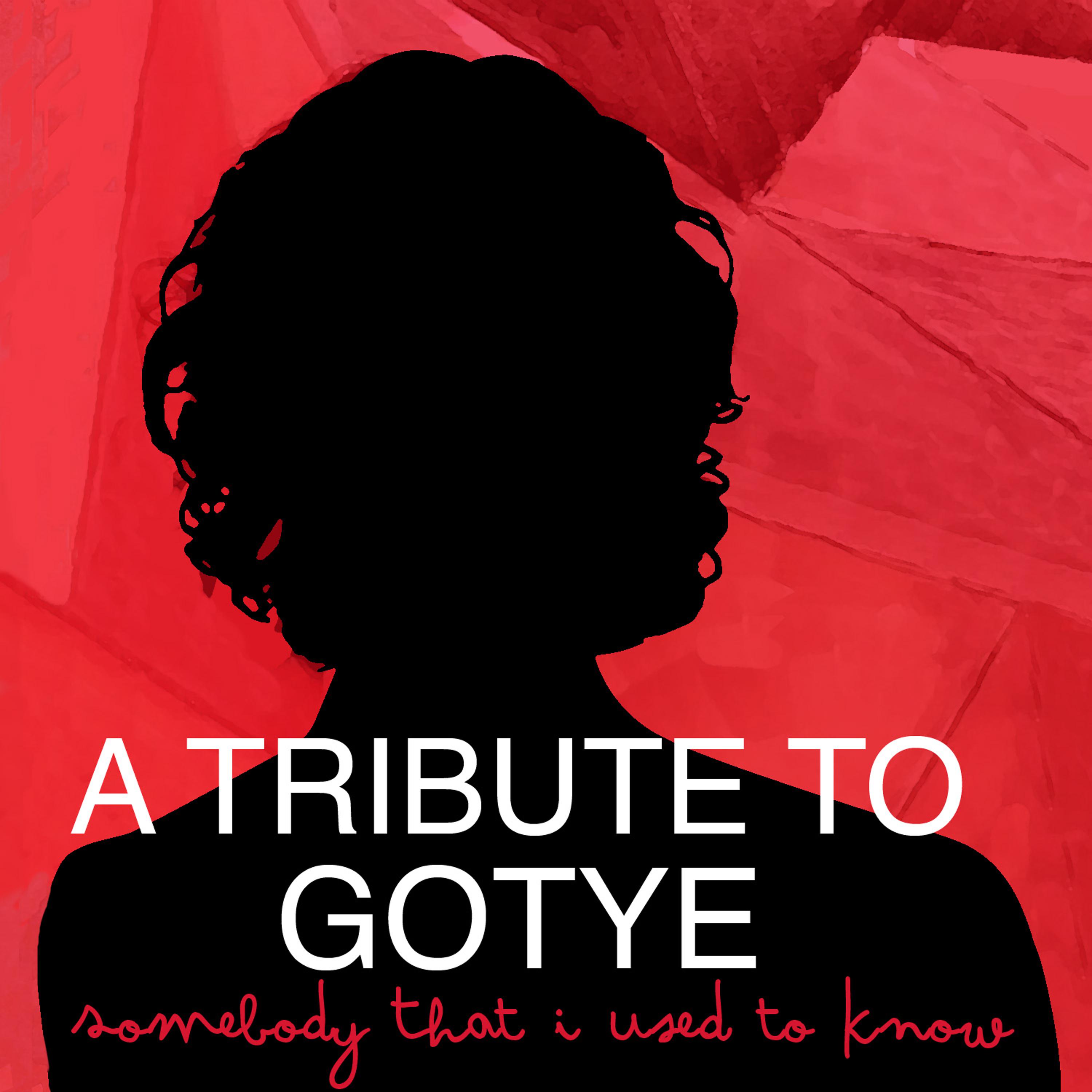 Постер альбома A Tribute to Gotye