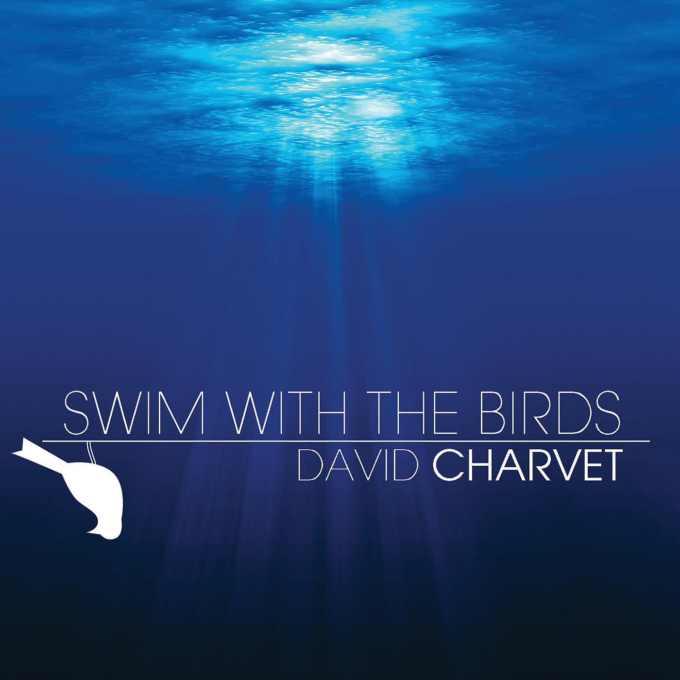 Постер альбома Swim With The Birds