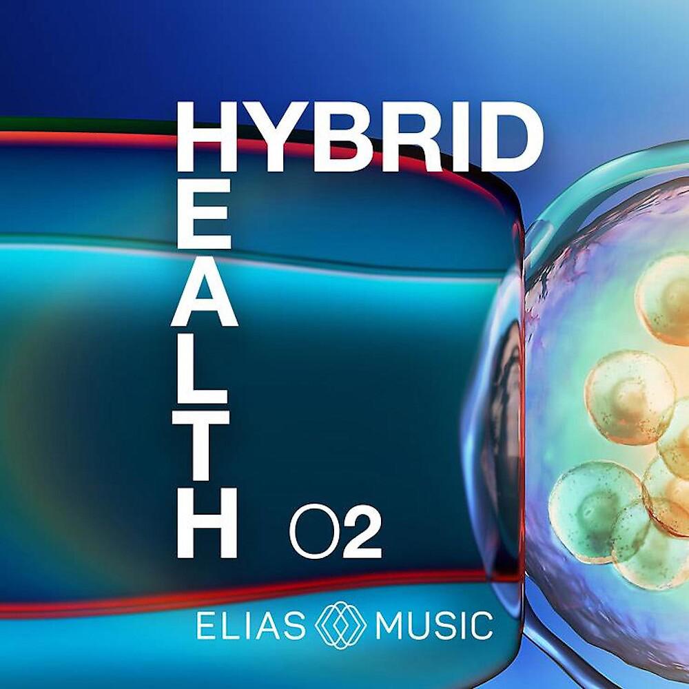 Постер альбома Hybrid Health, Vol. 2