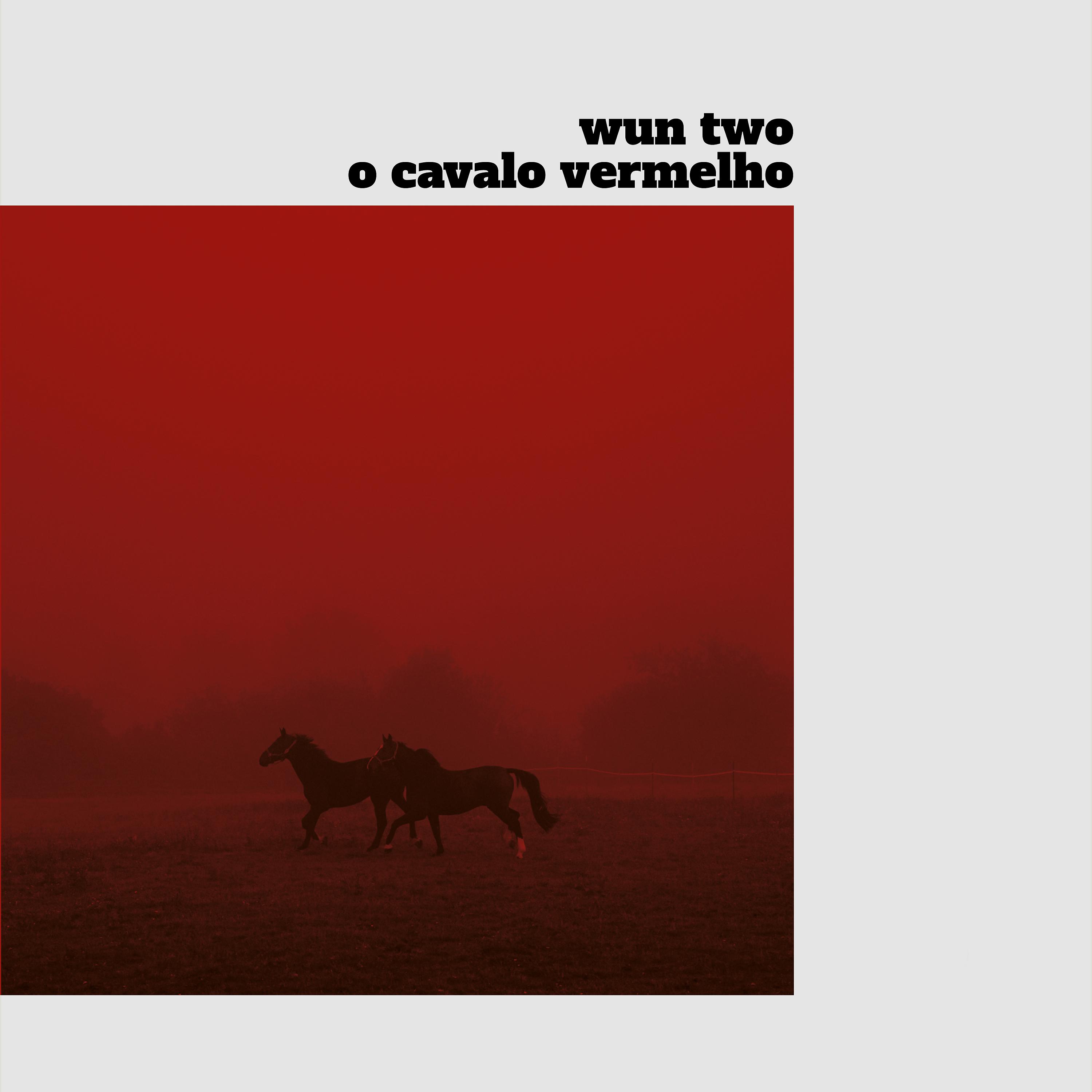Постер альбома O Cavalo Vermelho