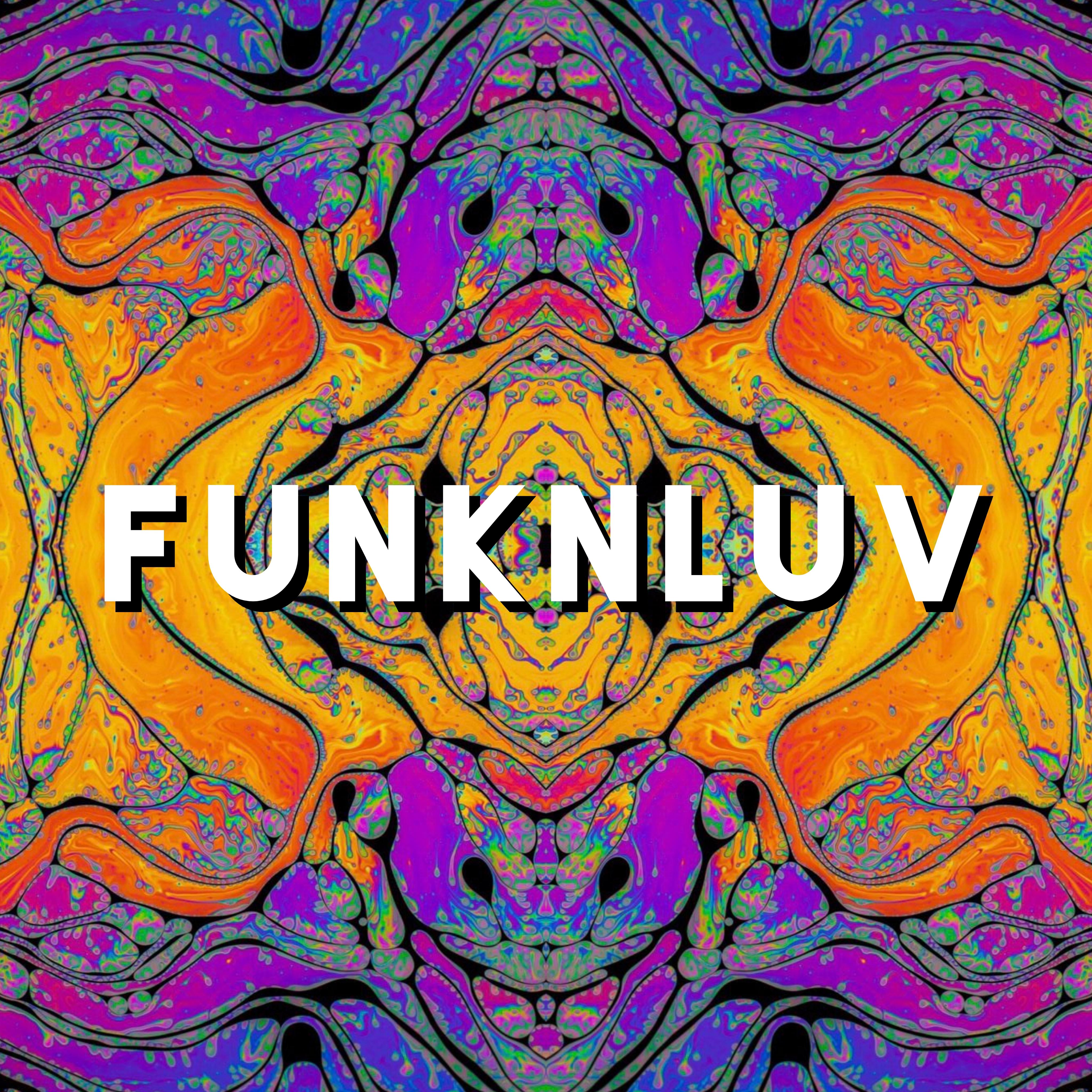 Постер альбома Funknluv