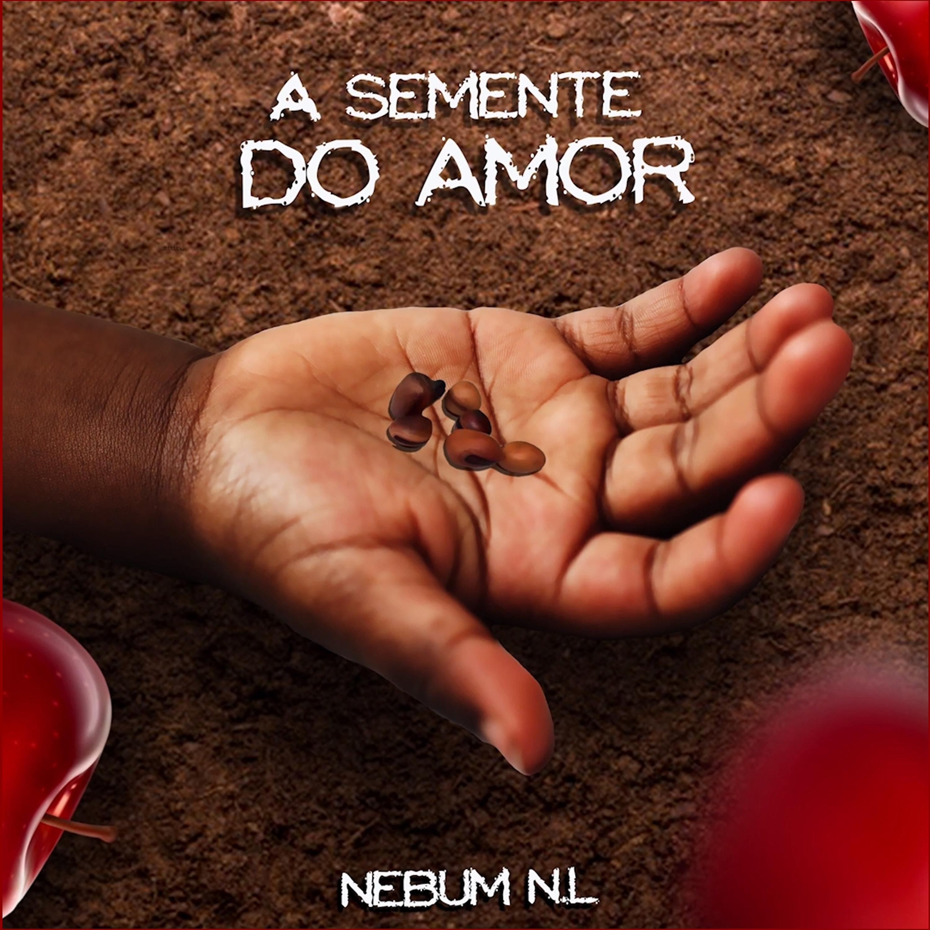 Постер альбома Semente do Amor
