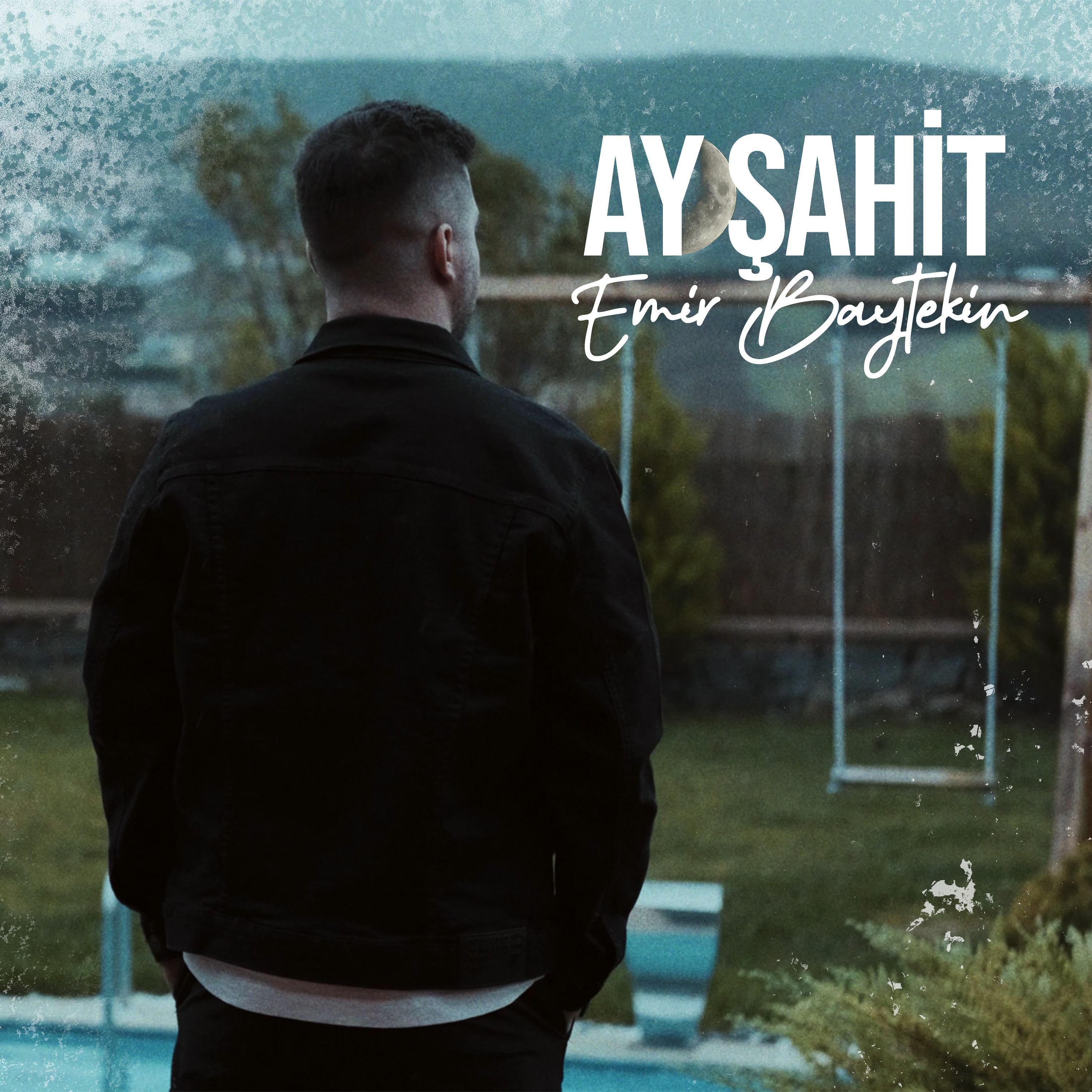 Постер альбома AY ŞAHİT