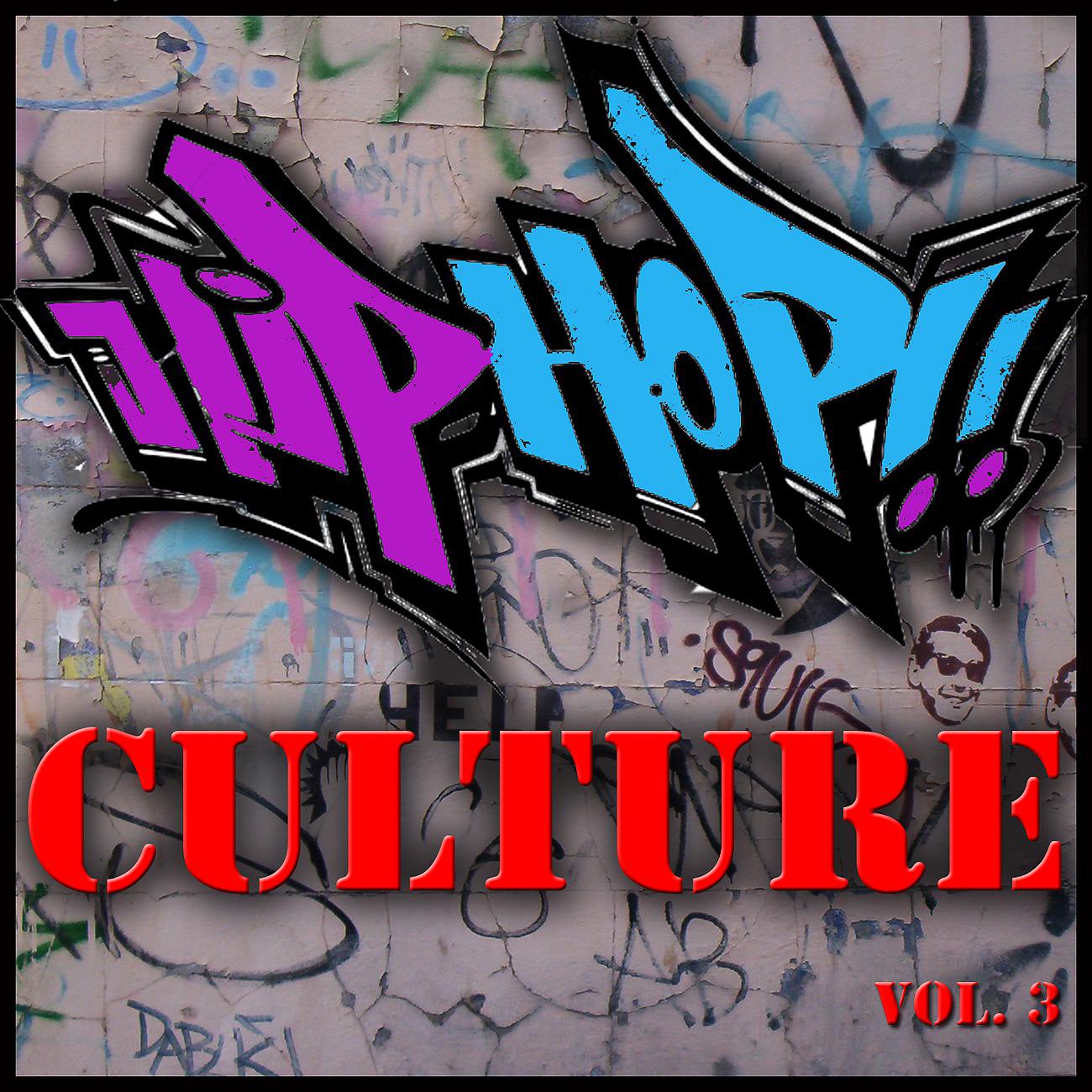 Постер альбома Hip Hop Culture, Vol. 3