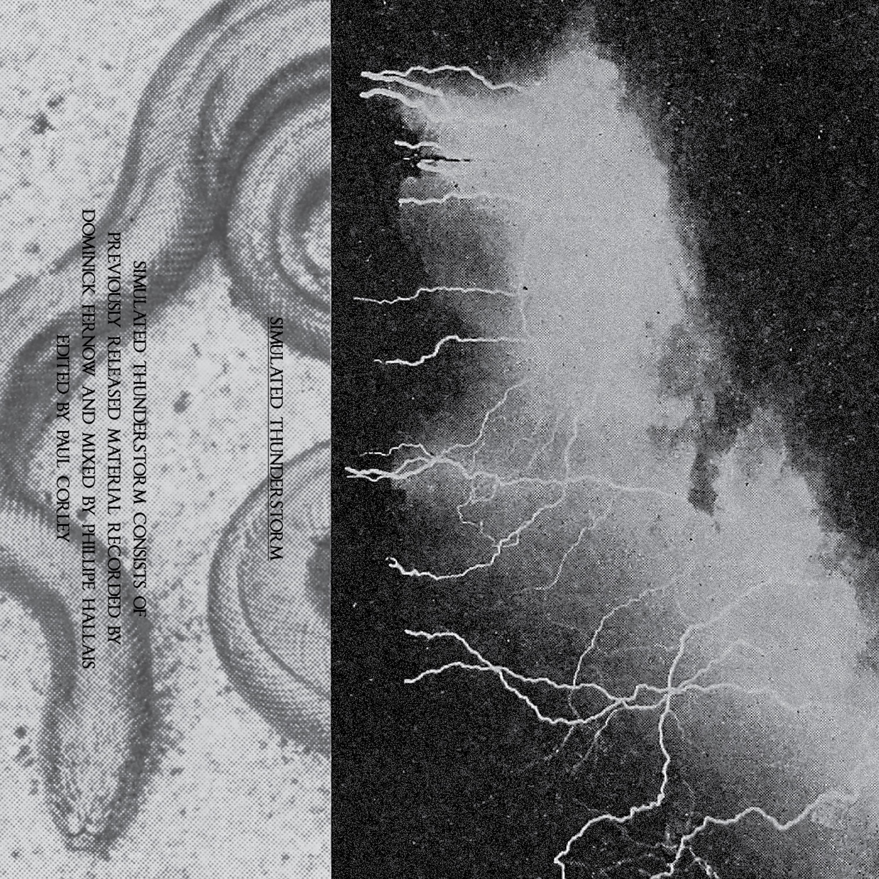 Постер альбома Simulated Thunderstorm
