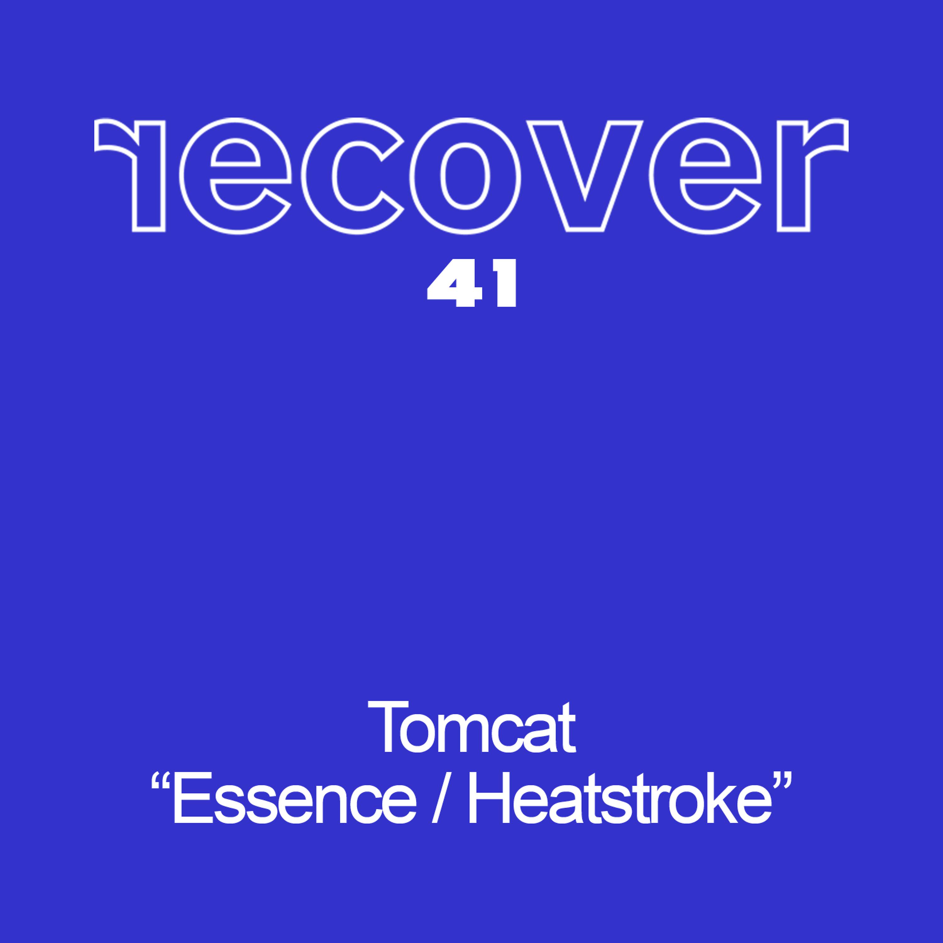 Постер альбома Essence / Heatstroke