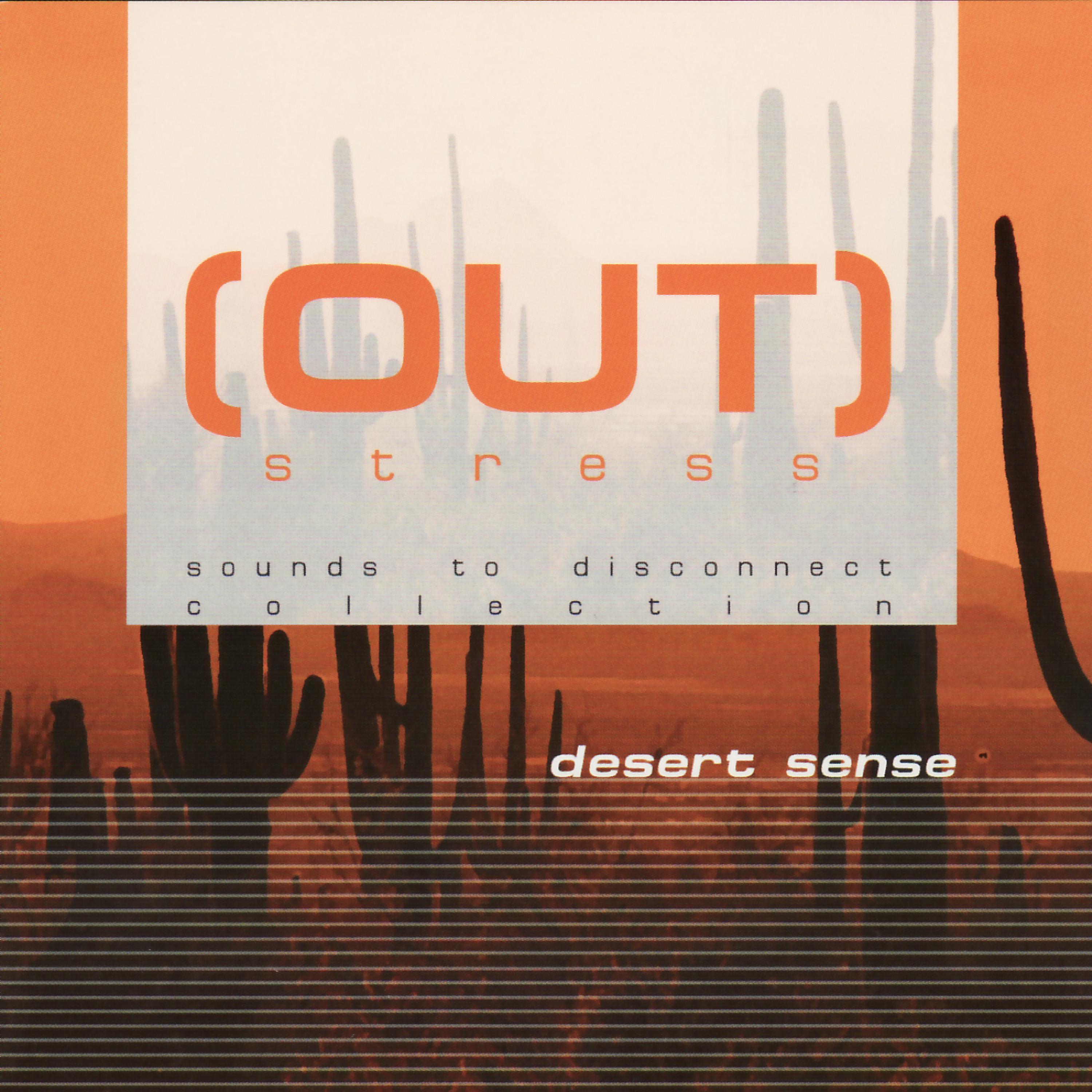 Постер альбома Desert Sense