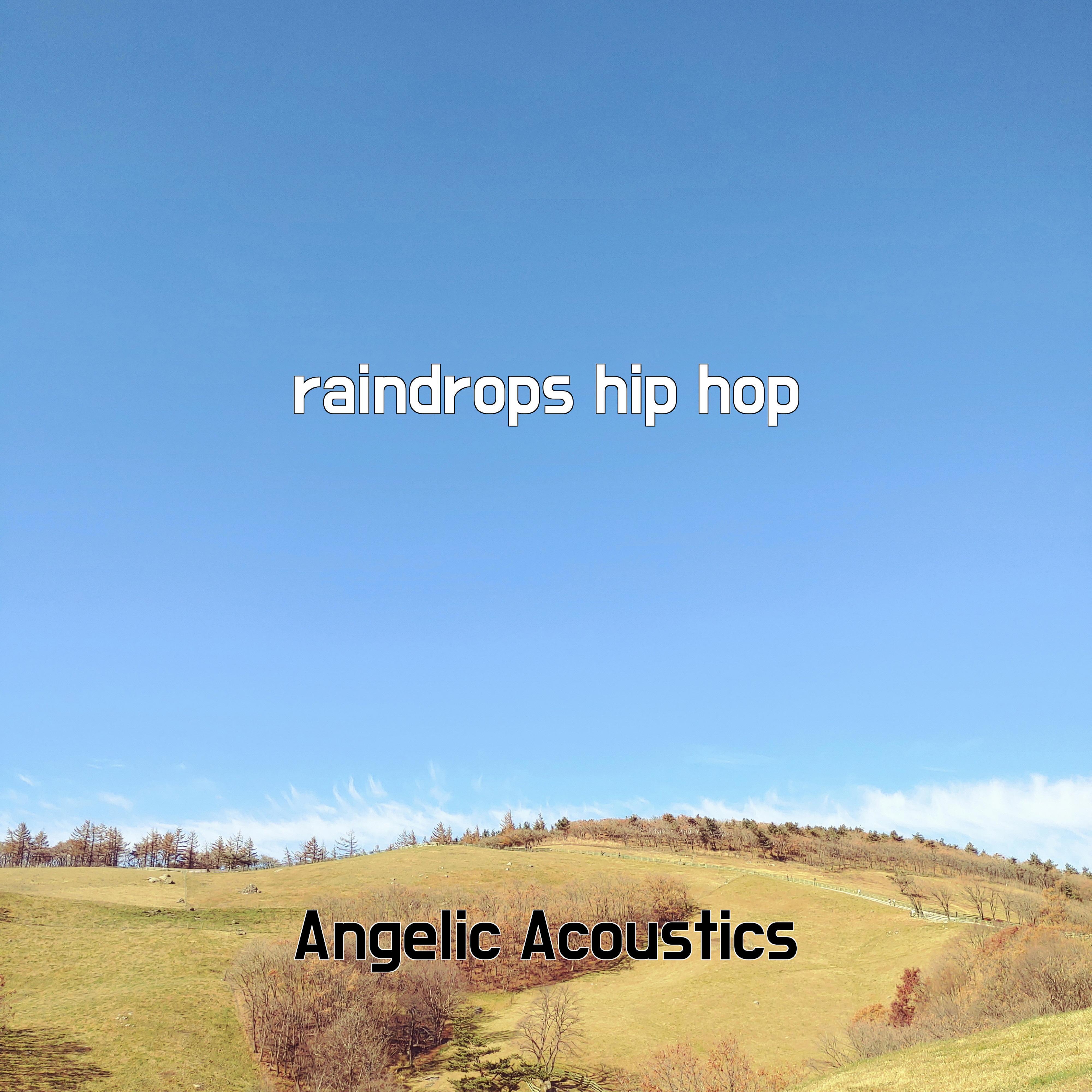 Постер альбома raindrops hip hop