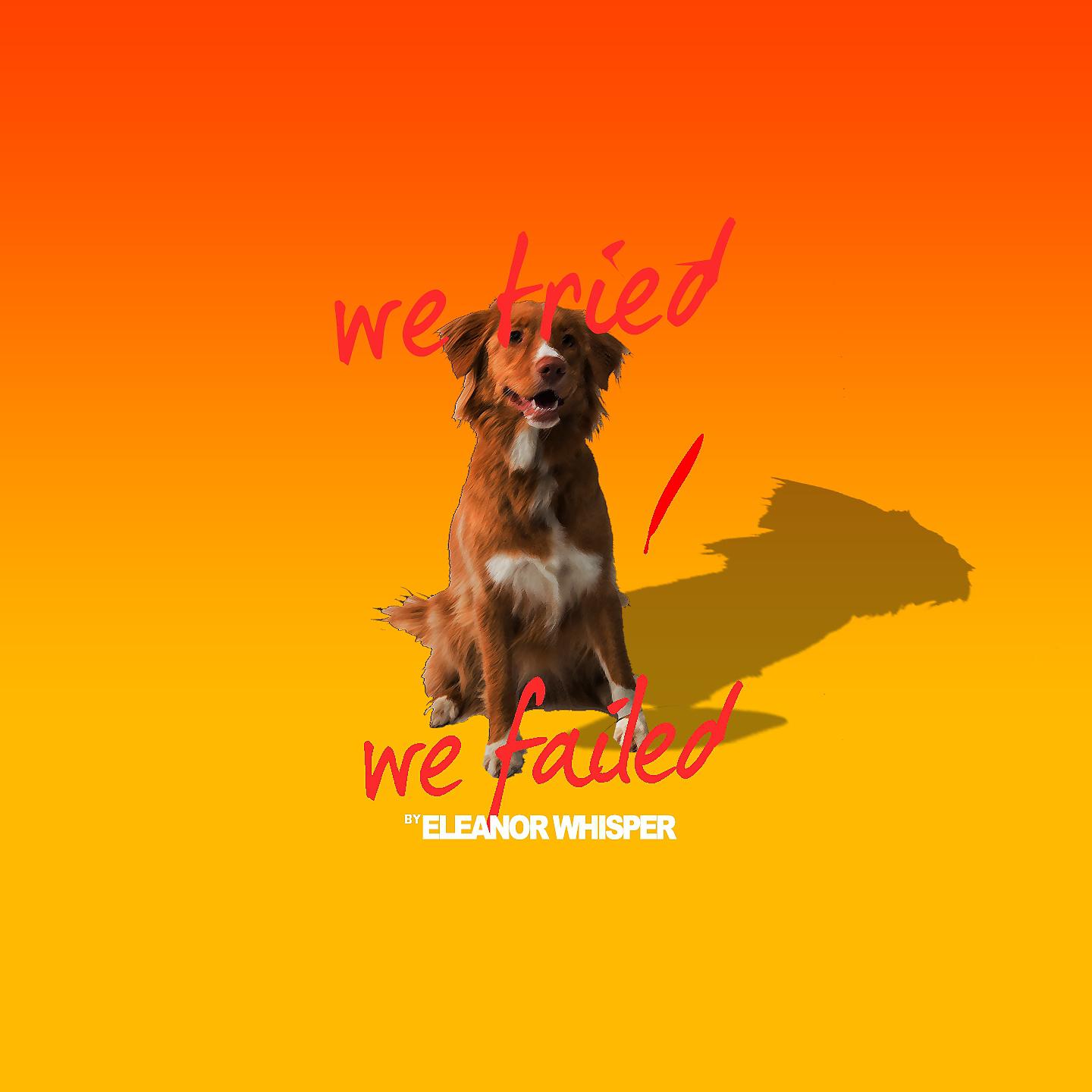 Постер альбома We Tried / We Failed