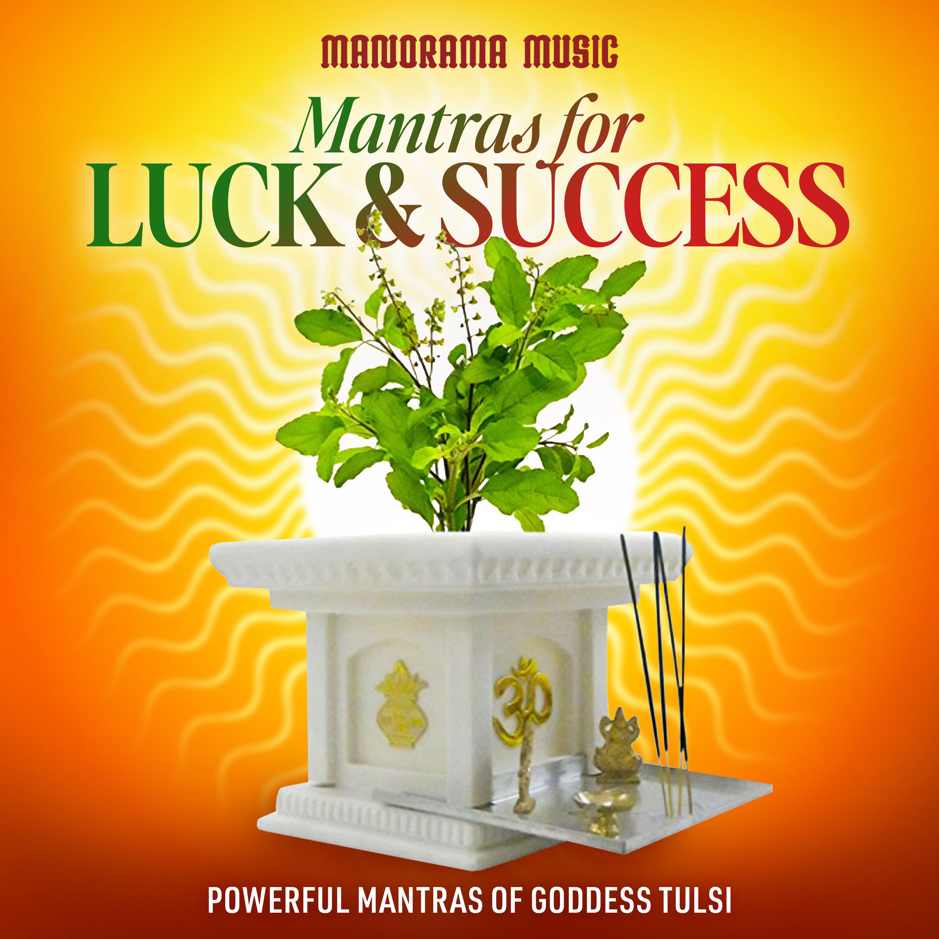 Постер альбома Mantras for Luck & Success