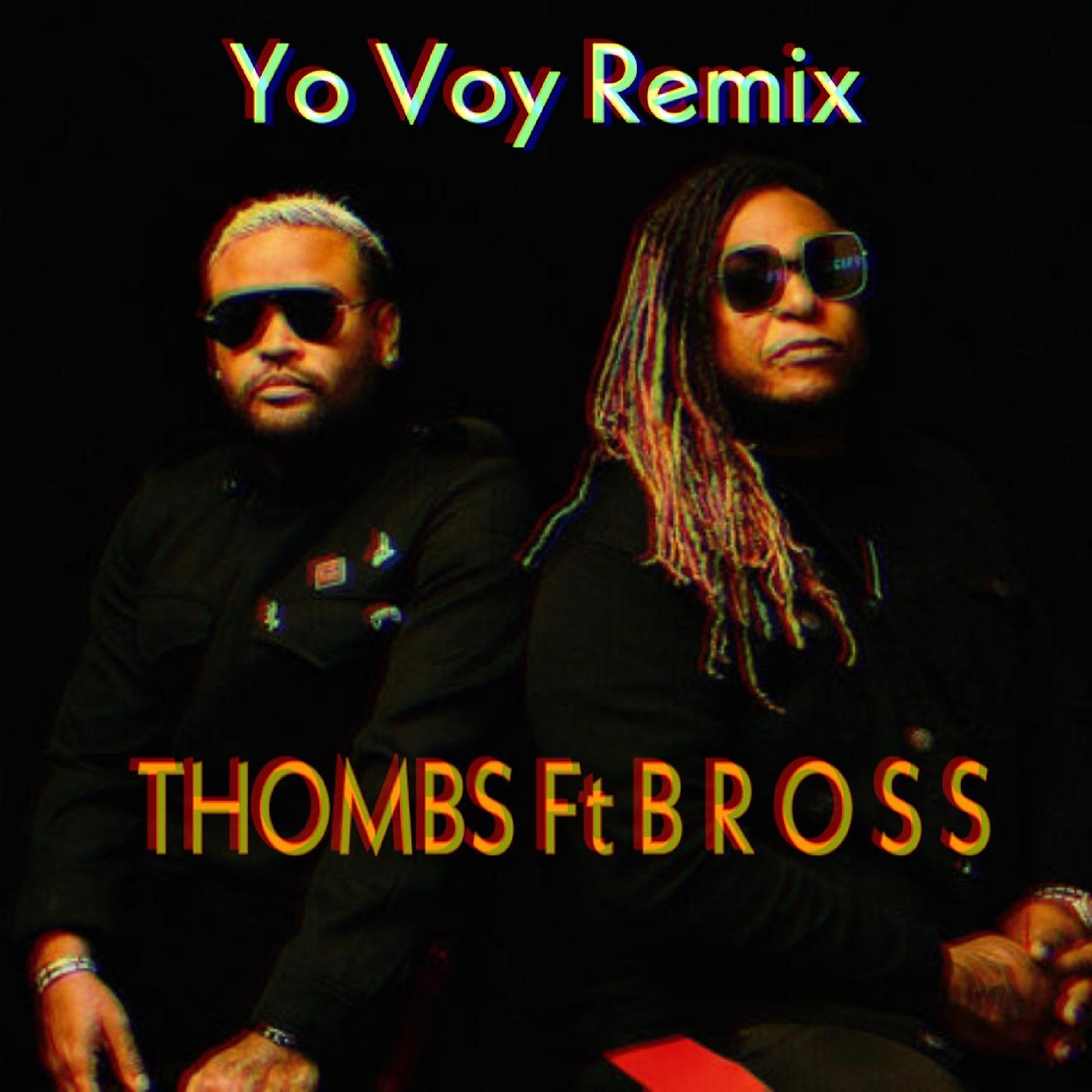 Постер альбома Yo Voy (Remix)