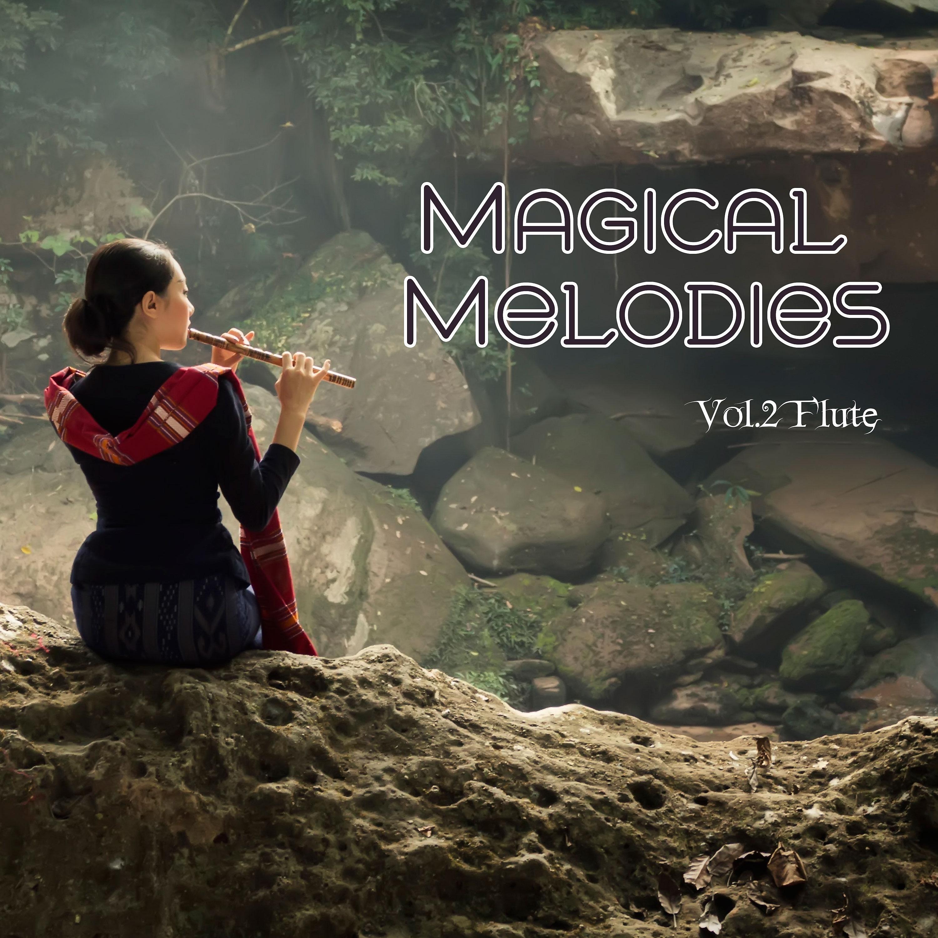 Постер альбома Magical Melodies, Vol.2. Flute