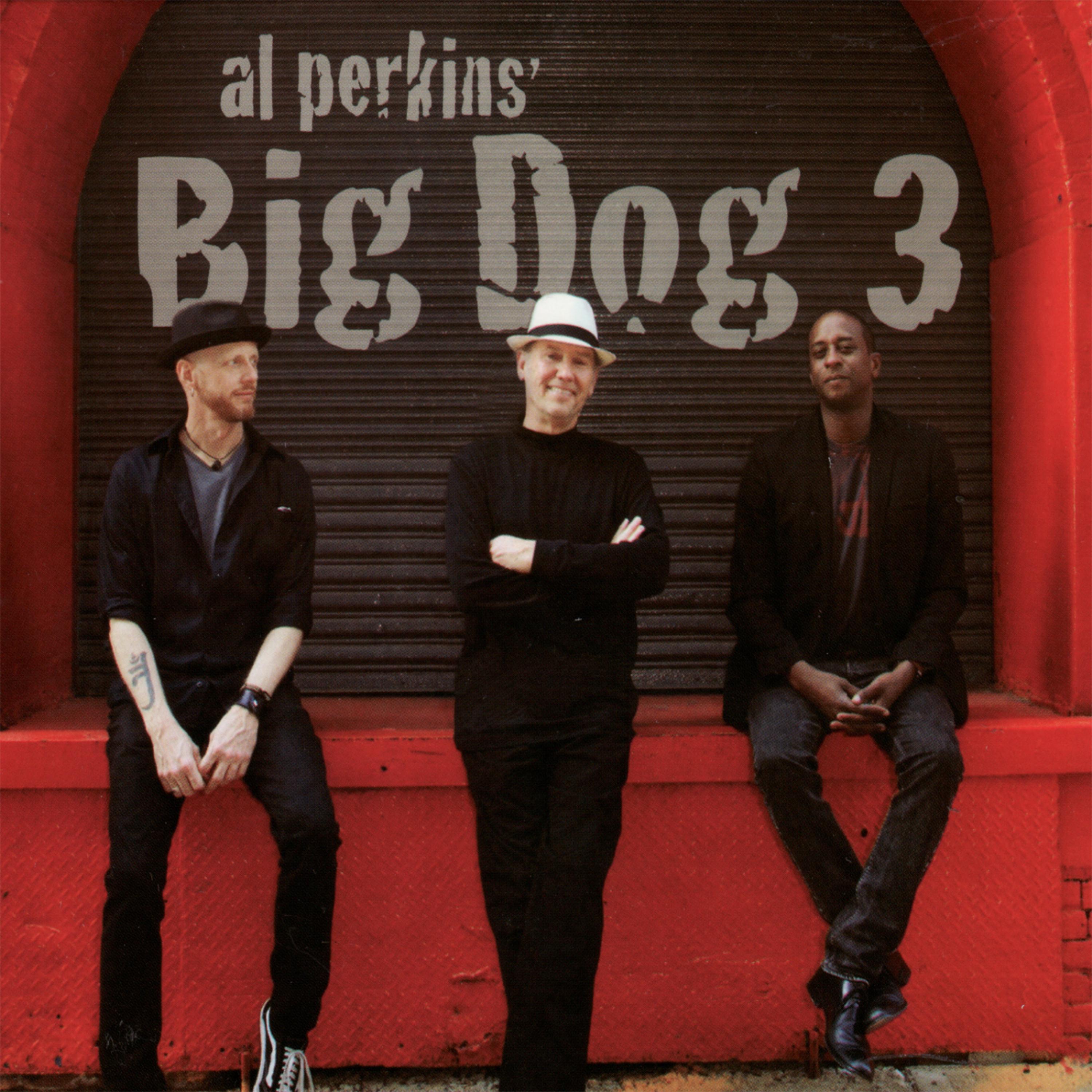 Постер альбома Al Perkins' Big Dog 3