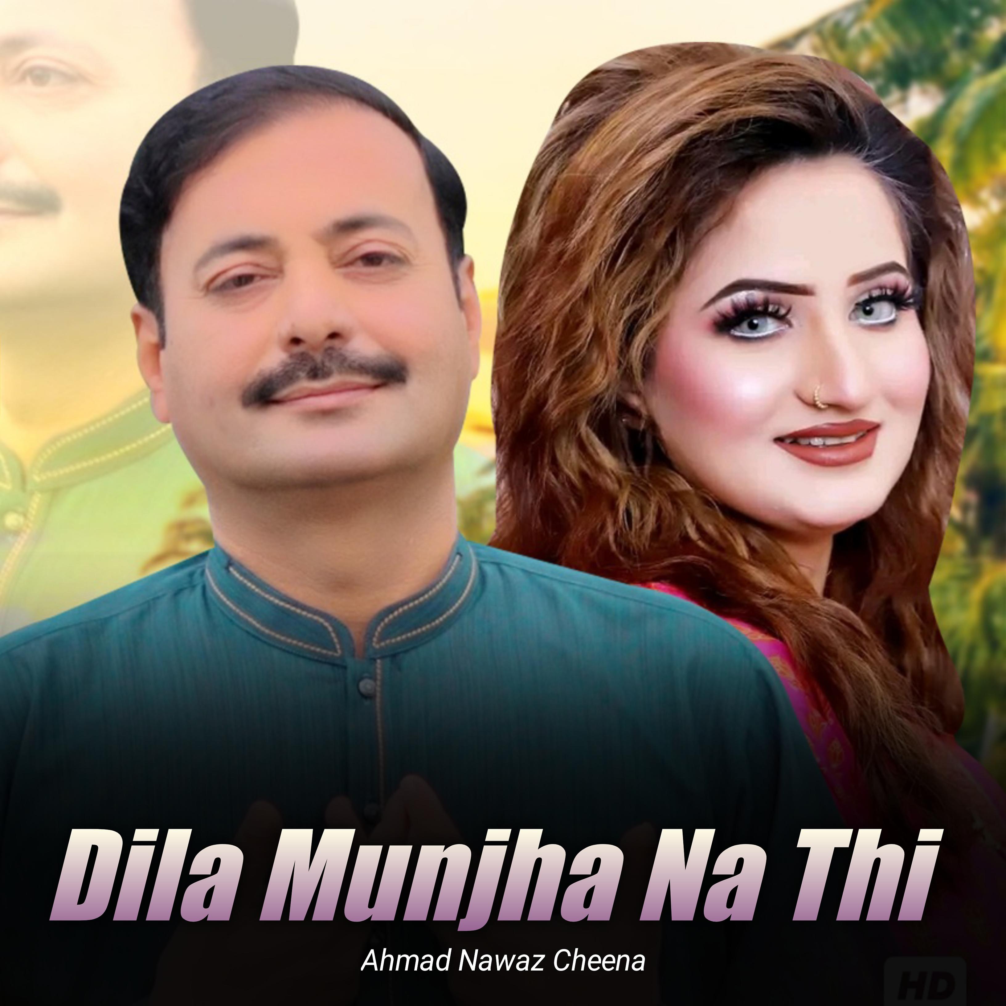 Постер альбома Dila Munjha Na Thi