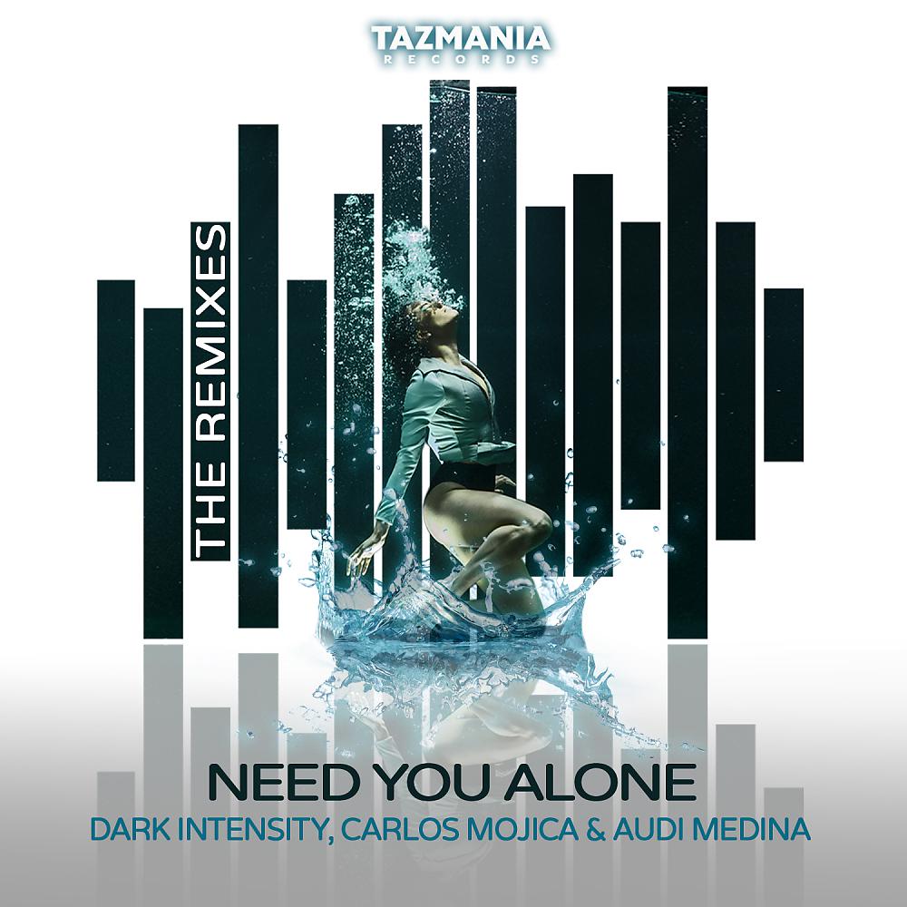 Постер альбома Need You Alone (The Remixes)