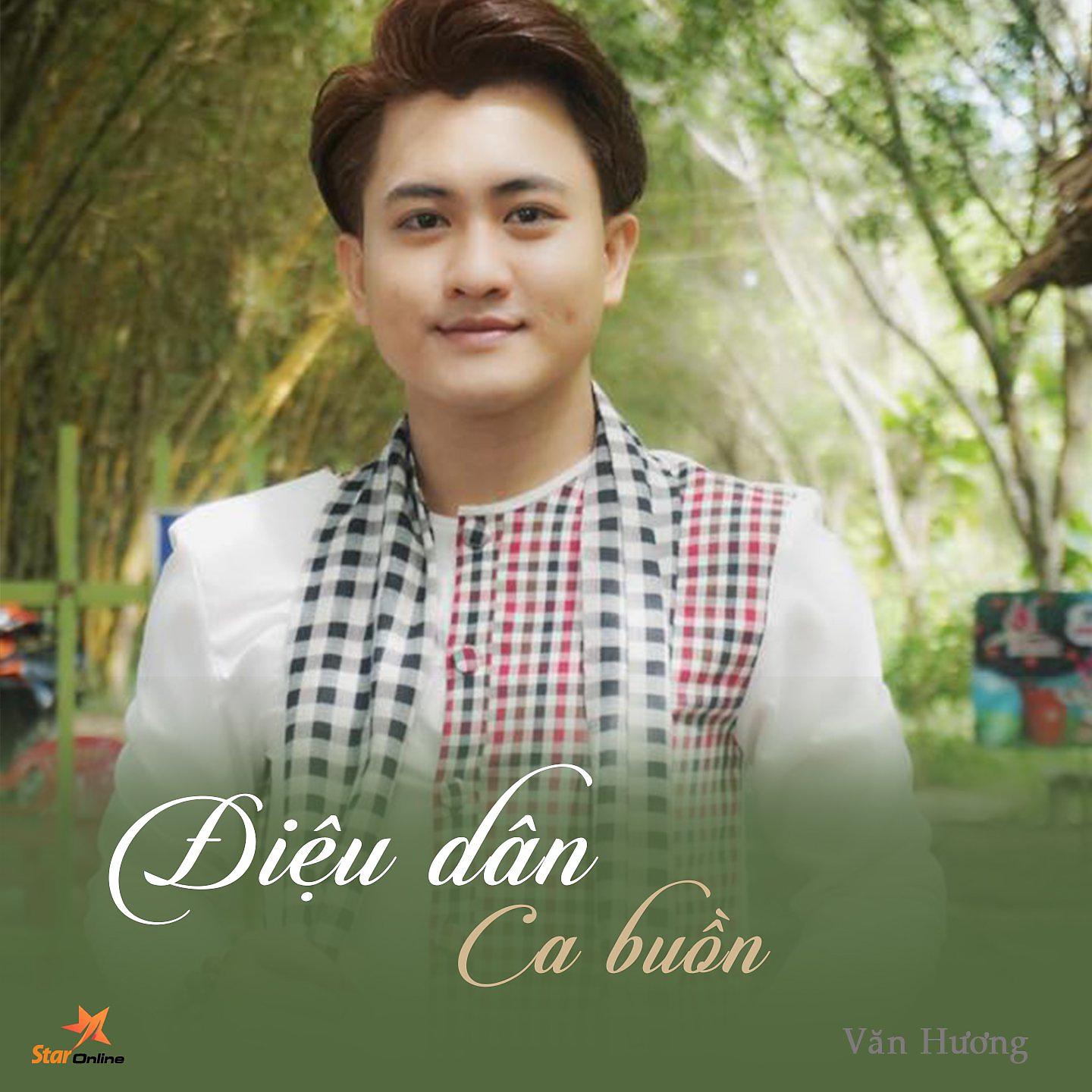 Постер альбома Điệu Dân Ca Buồn