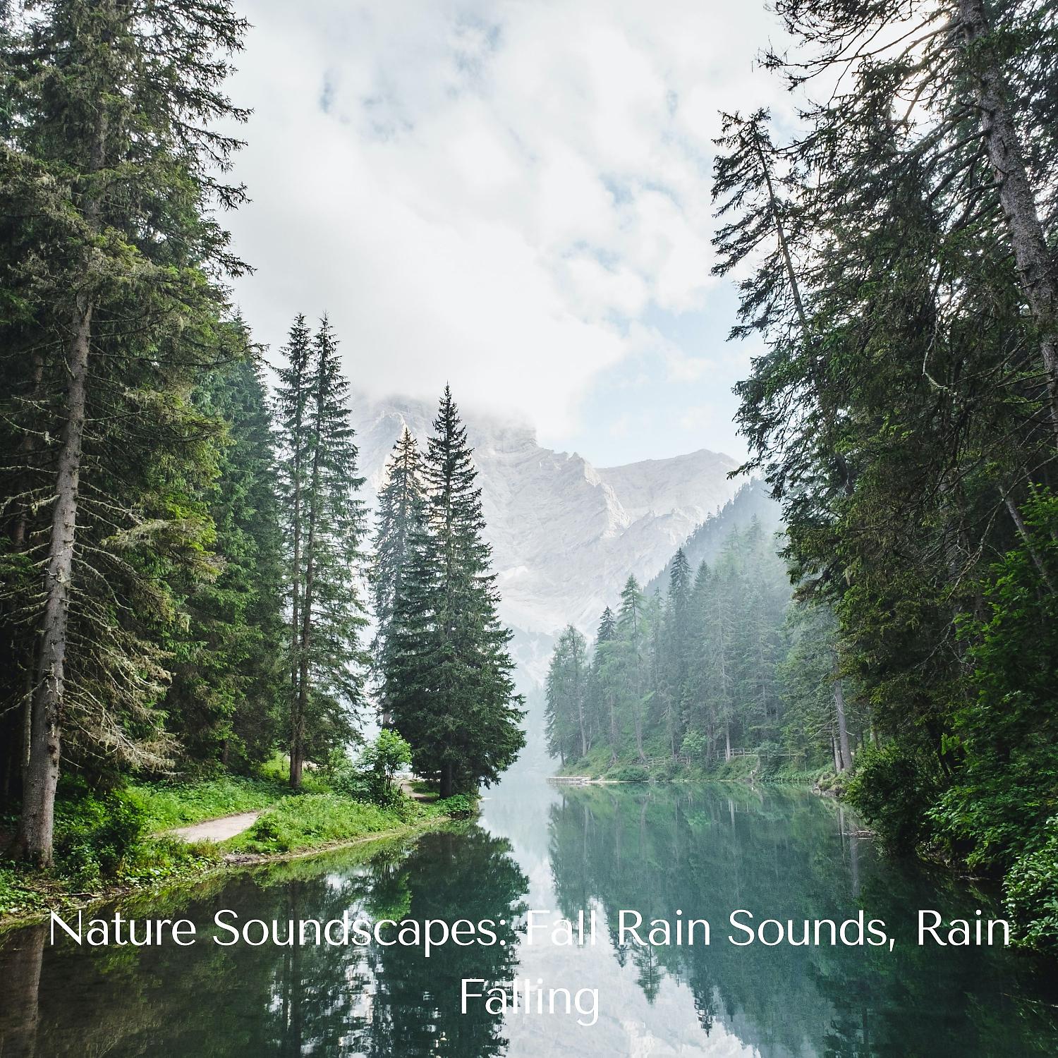 Постер альбома Nature Soundscapes: Fall Rain Sounds, Rain Falling