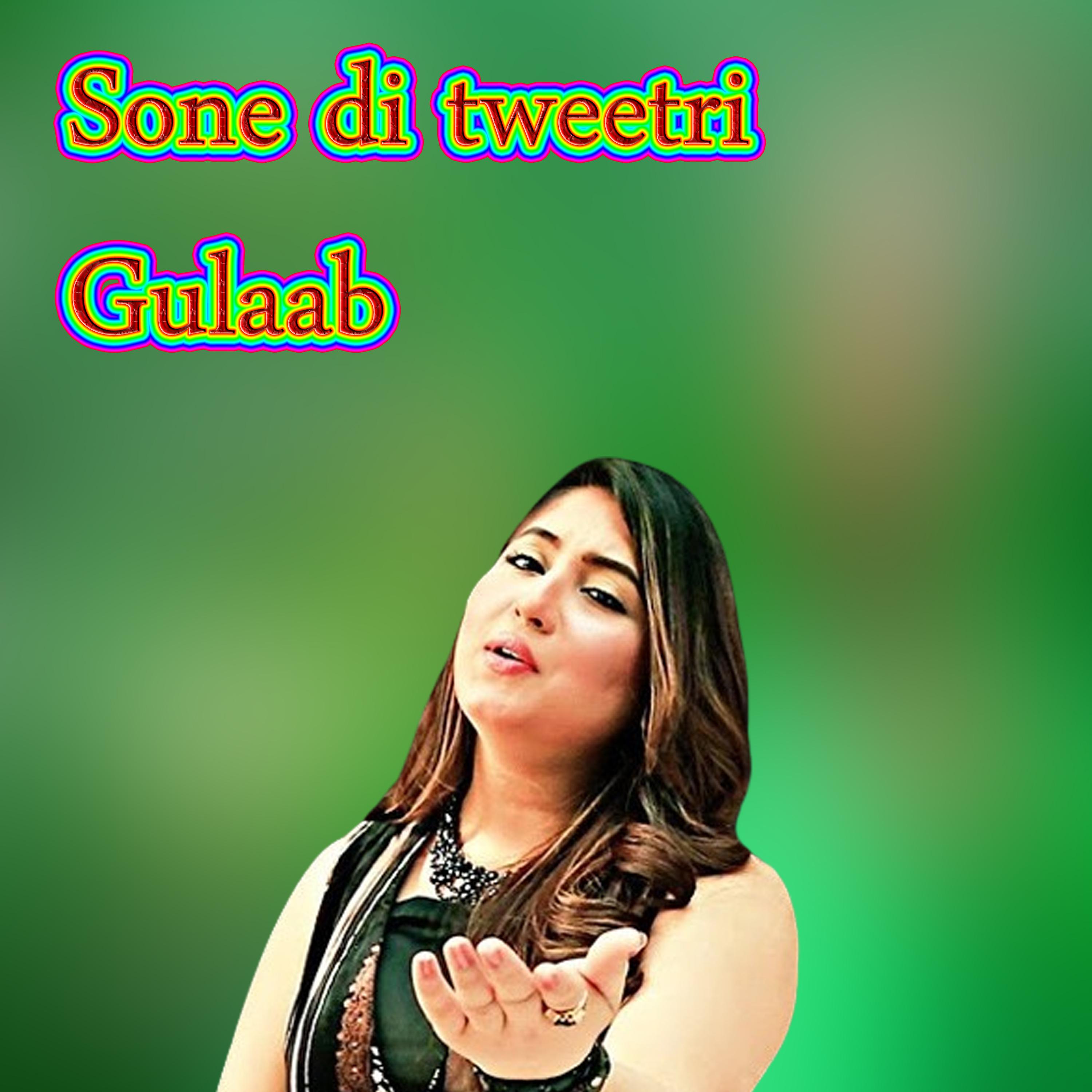 Постер альбома Sone di tweetri Gulaab