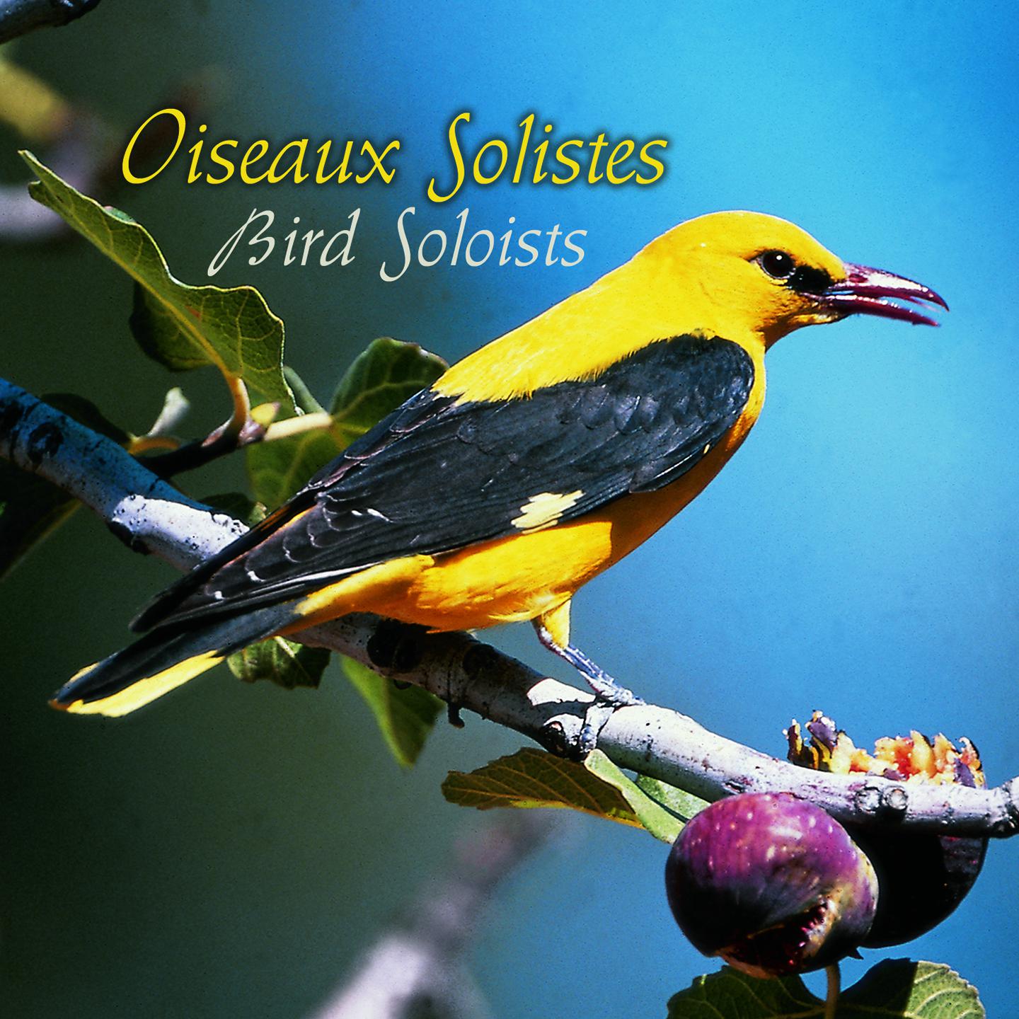 Постер альбома Oiseaux solistes, vol. 2