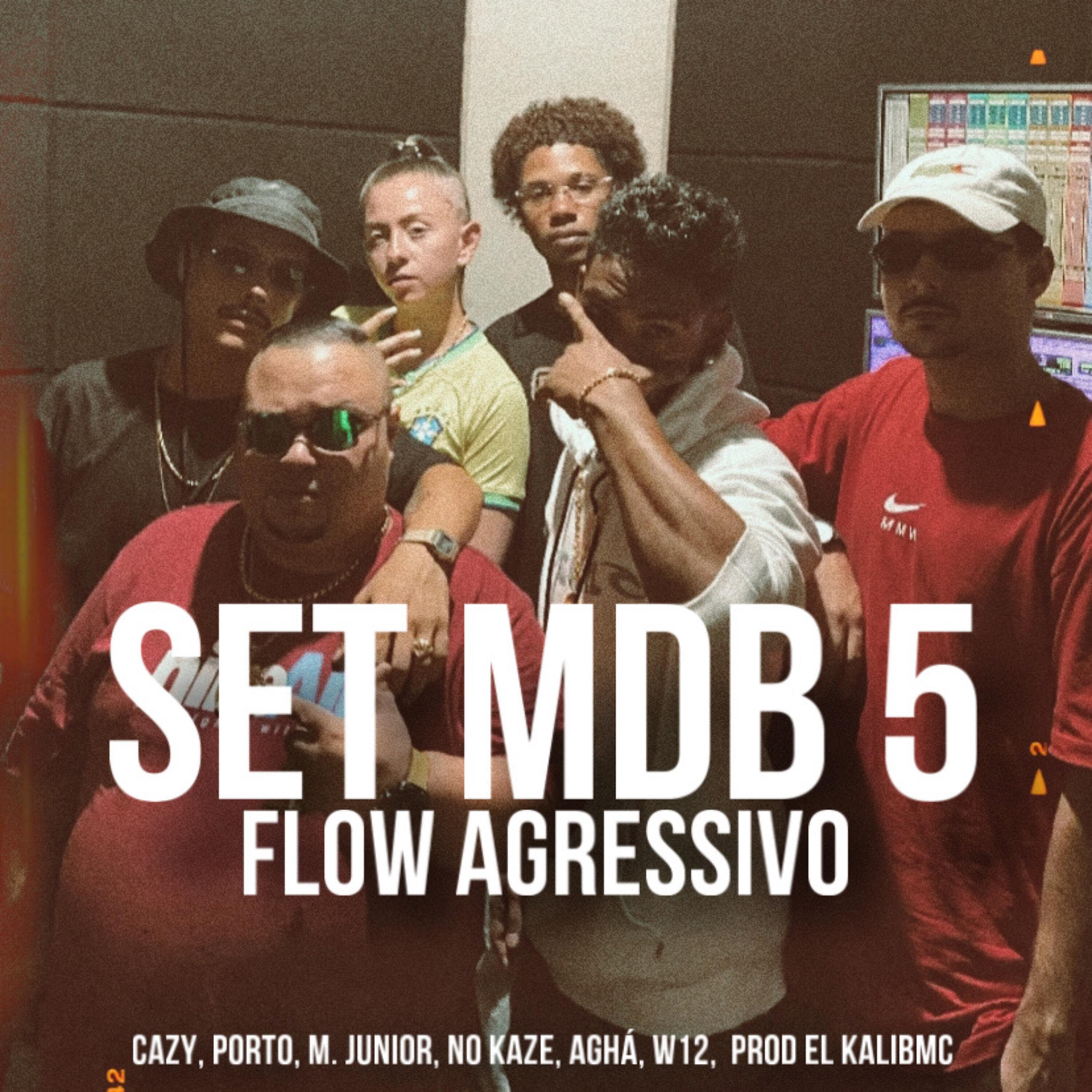 Постер альбома Flow Agressivo