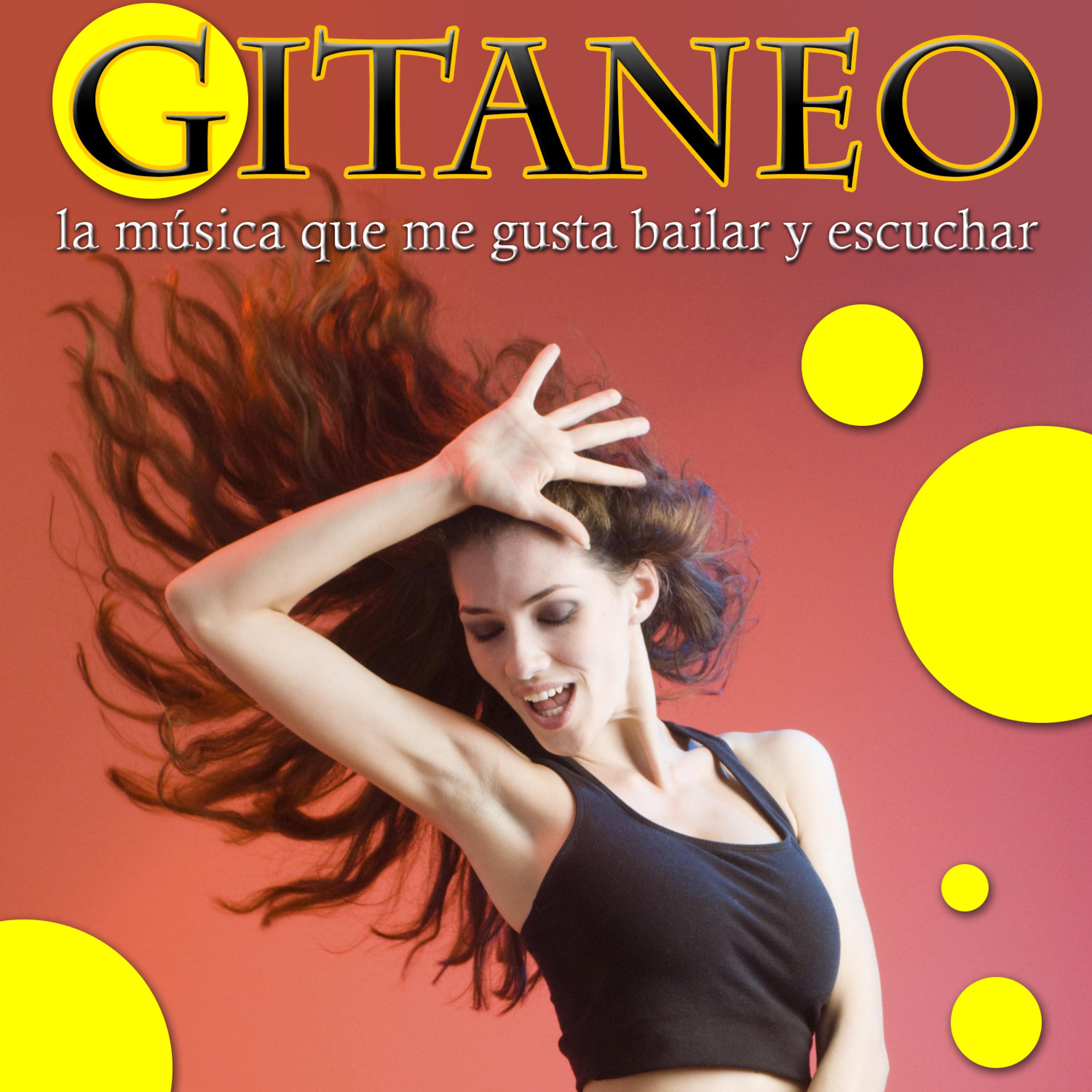 Постер альбома Gitaneo, La Música Que Me Gusta Bailar y Escuchar