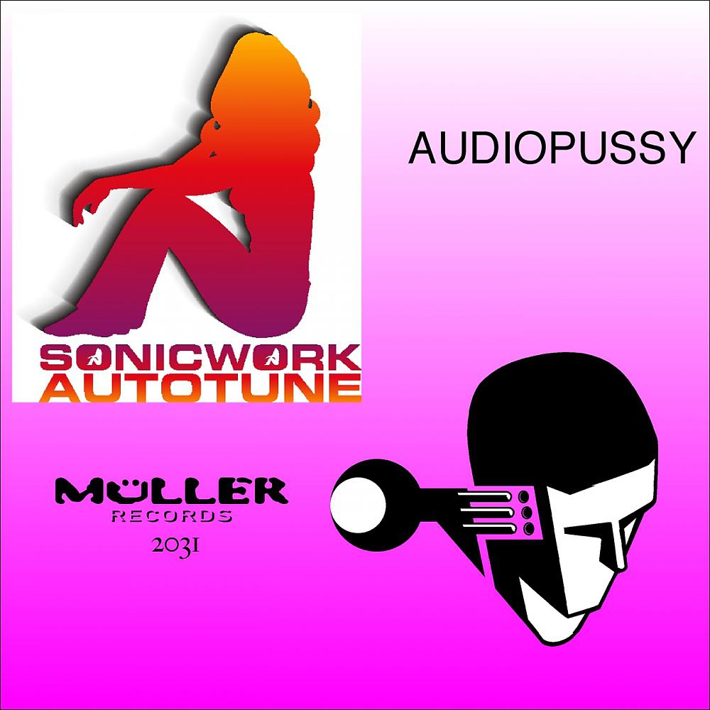 Постер альбома Audiopussy